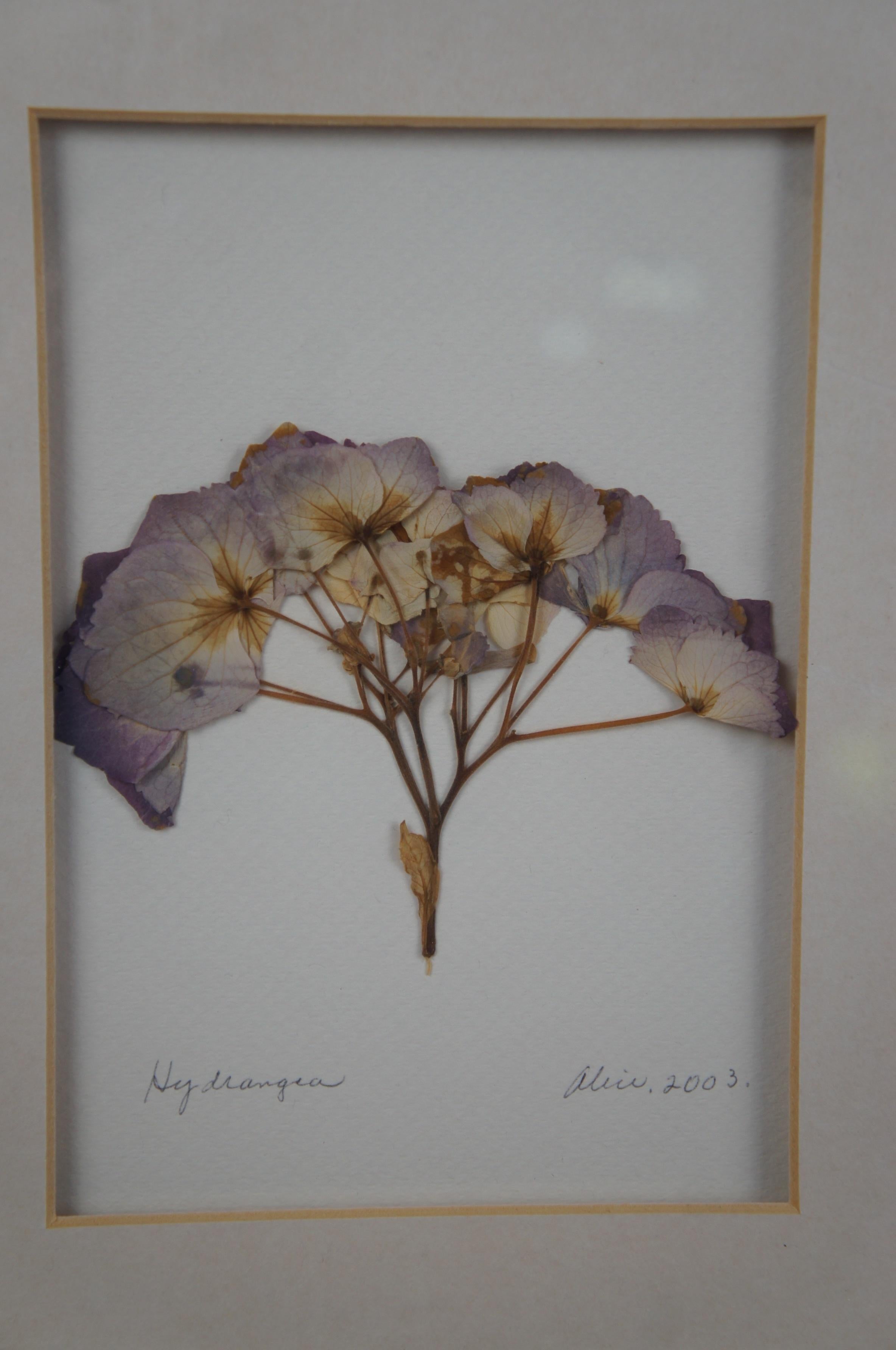 Impressions by Alice Dried Framed Hydrangea Poppy Flower Botanical Art For Sale 5