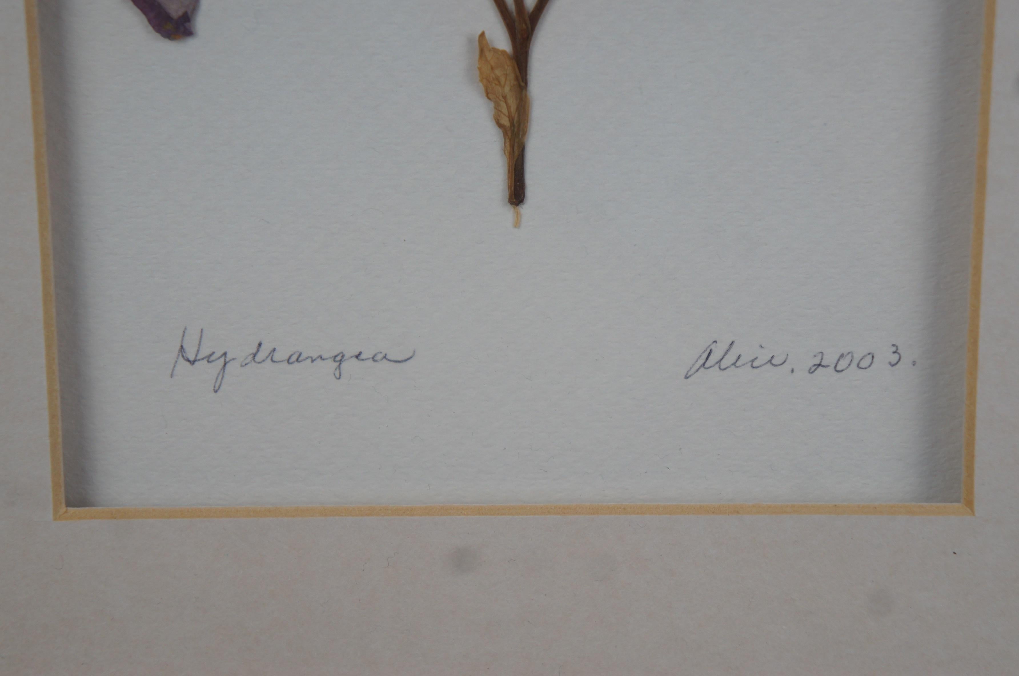 Impressionen von Alice Dried Gerahmte Hydrangea Mohnblume botanische Kunst im Angebot 6