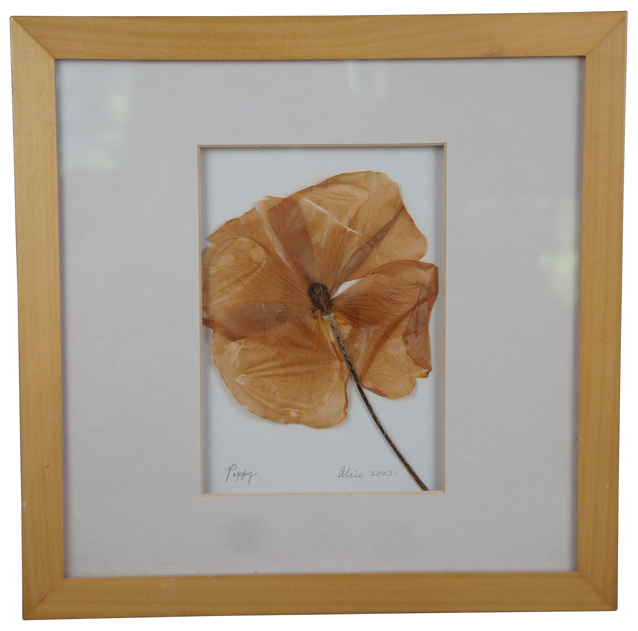 Pair of dried and pressed flowers in matching light wood frames, signed by Alice with ‘Impressions by Alice’ stickers on the back. One a poppy flower, the other hydrangea. Size: 11