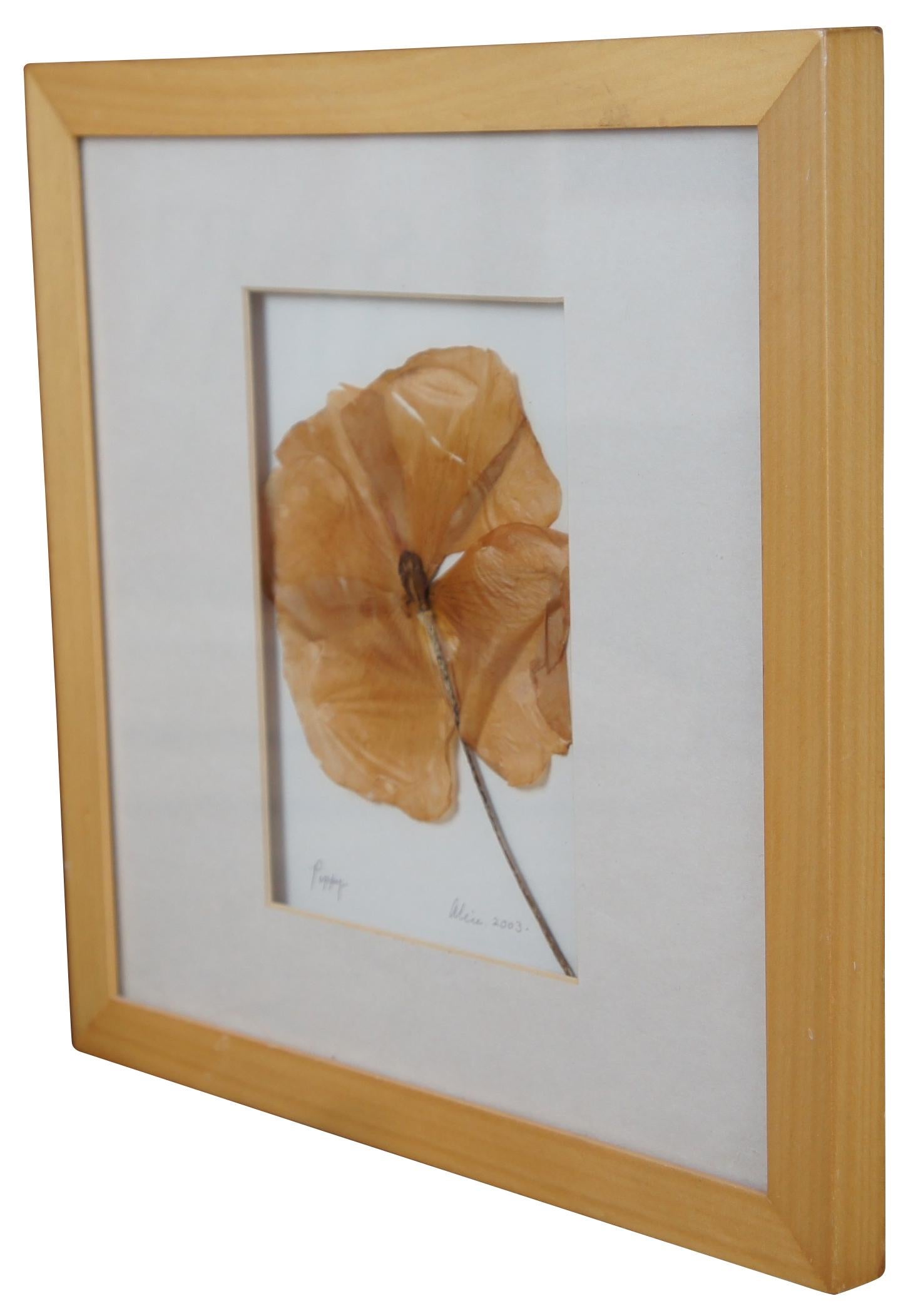 Impressions by Alice Dried Framed Hydrangea Poppy Flower Botanical Art In Good Condition For Sale In Dayton, OH