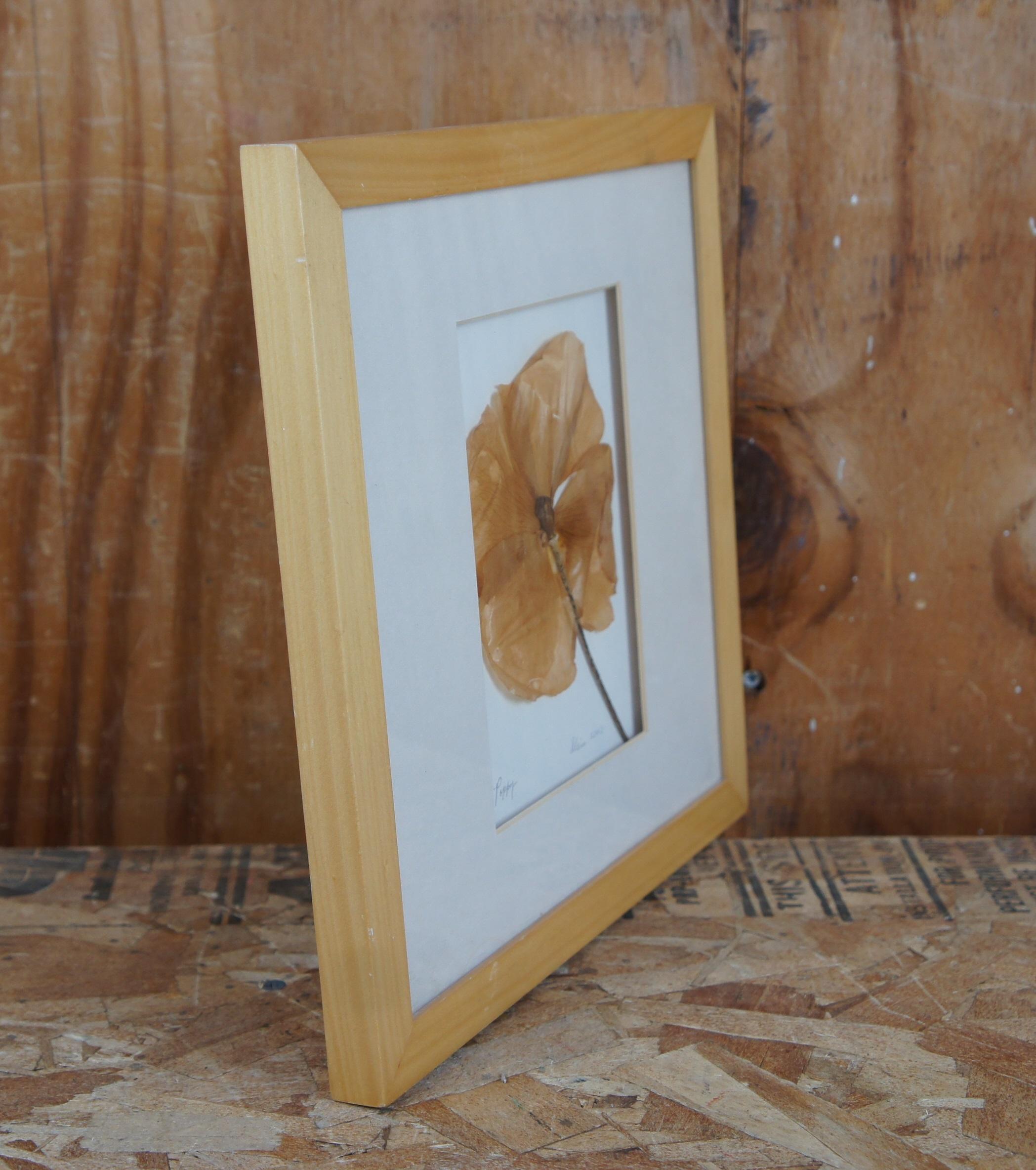20th Century Impressions by Alice Dried Framed Hydrangea Poppy Flower Botanical Art For Sale