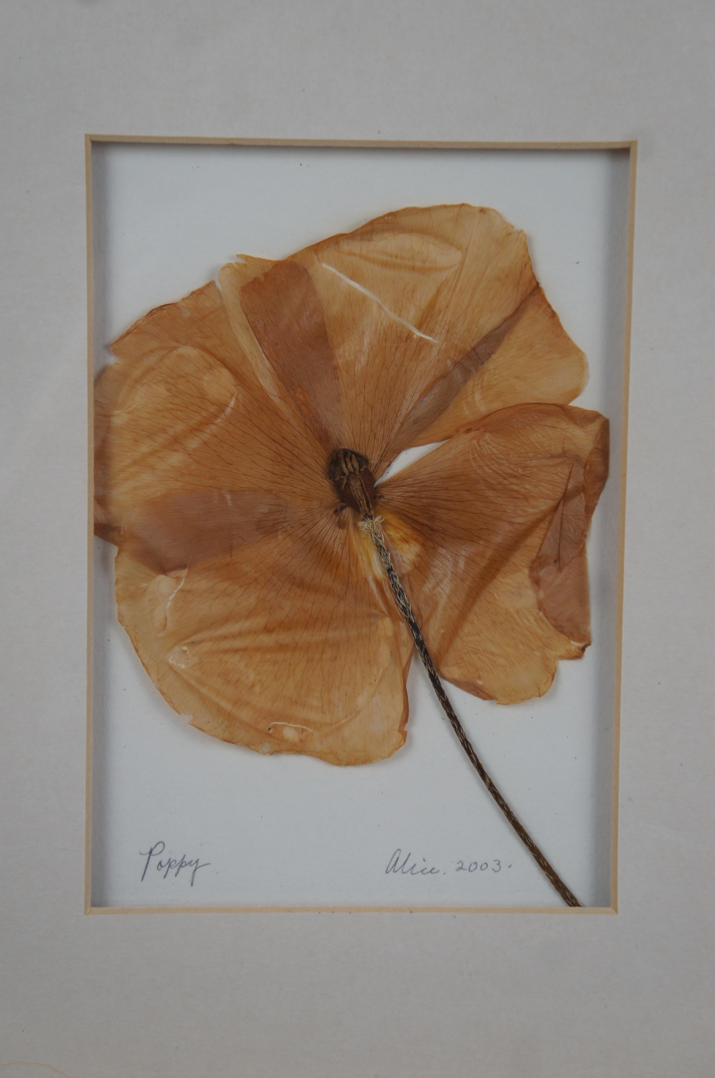 Organic Material Impressions by Alice Dried Framed Hydrangea Poppy Flower Botanical Art For Sale