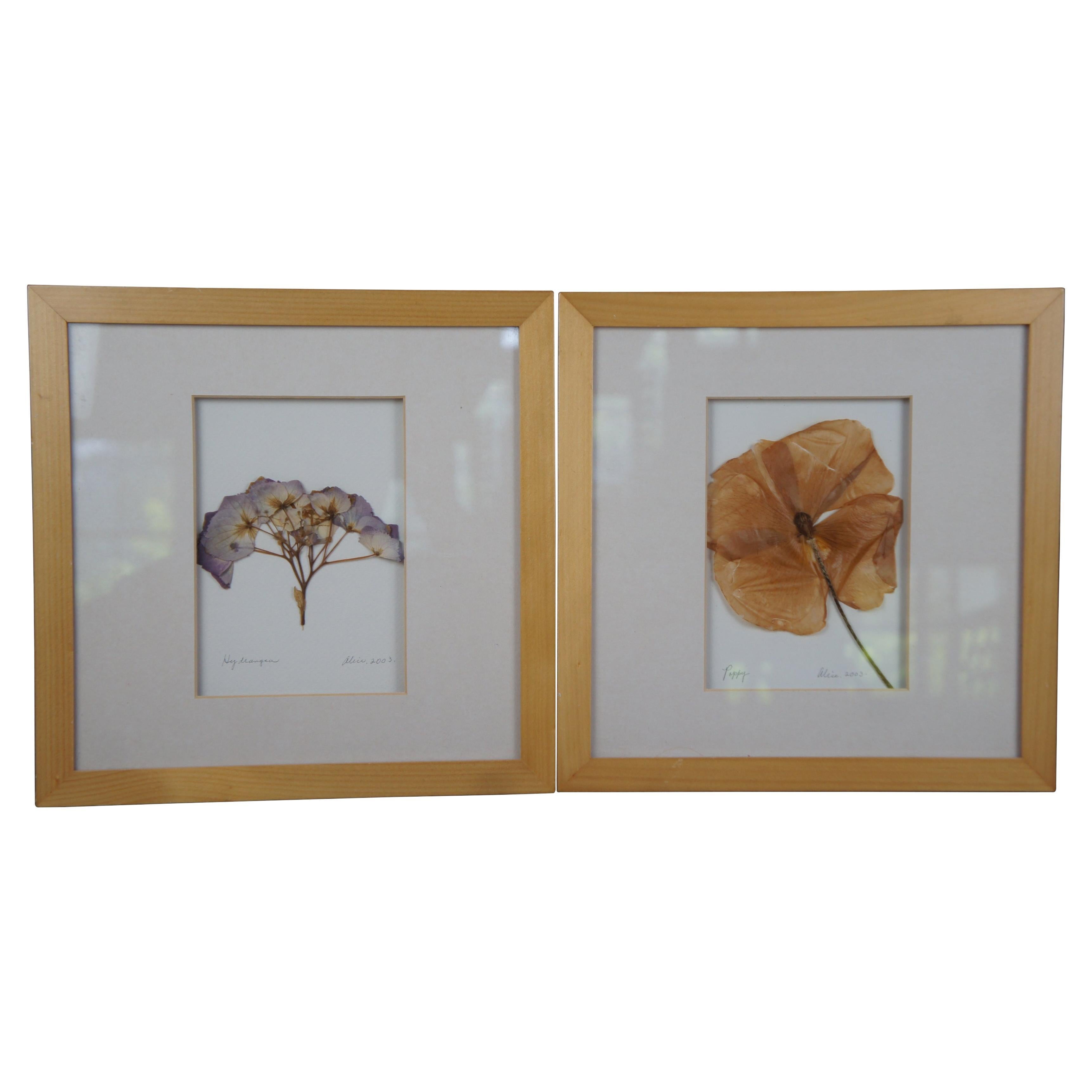Impressions by Alice Dried Framed Hydrangea Poppy Flower Botanical Art For Sale