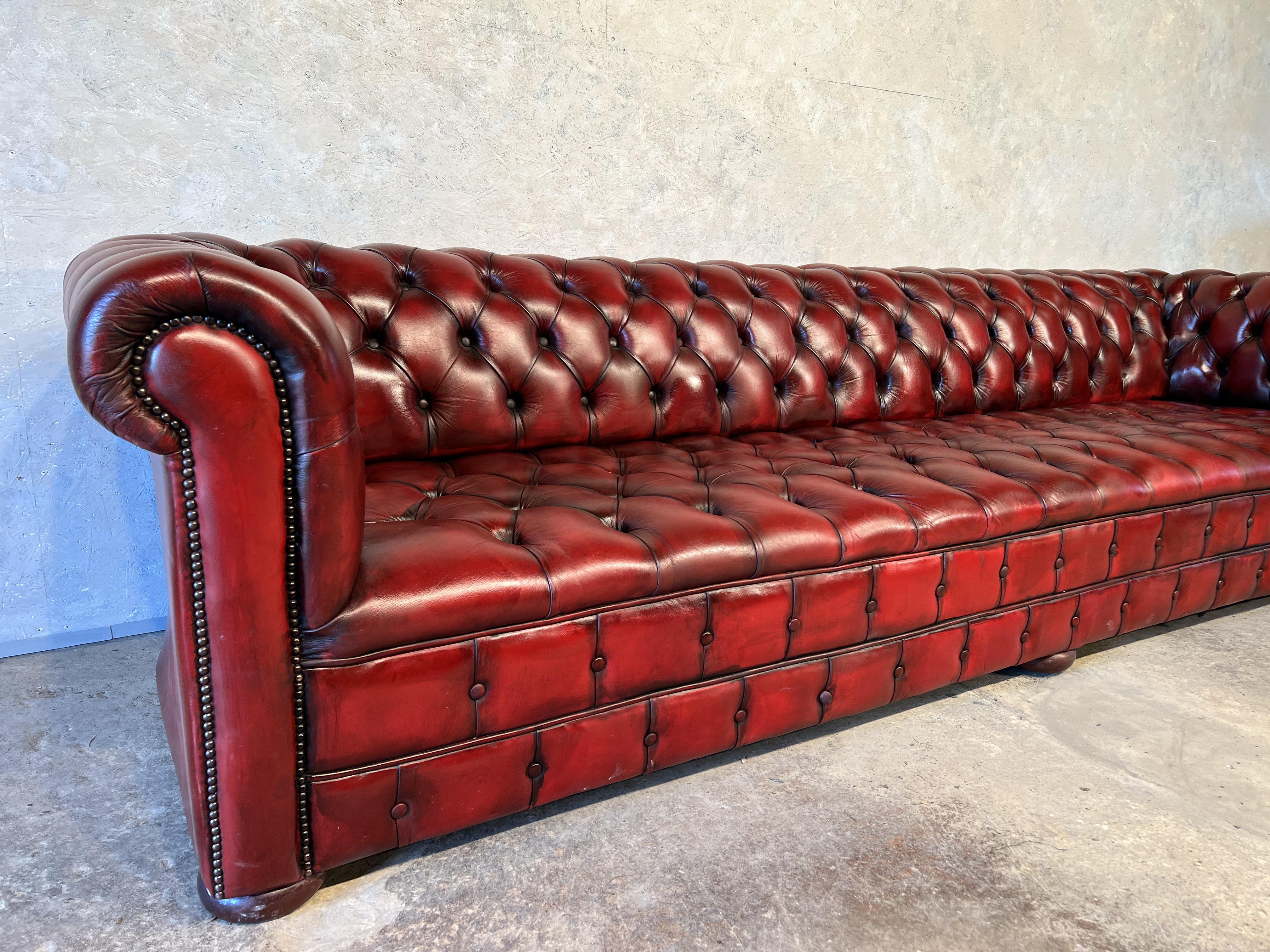 An Impressive 10 Ft Long Hand Dyed Leather Chestnut Brown Chesterfield Sofa.


Fantastic quality premium leather chesterfield in excellent condition, fully buttoned it has a fantastic colour and patina, hand dyed and polished to lovely
