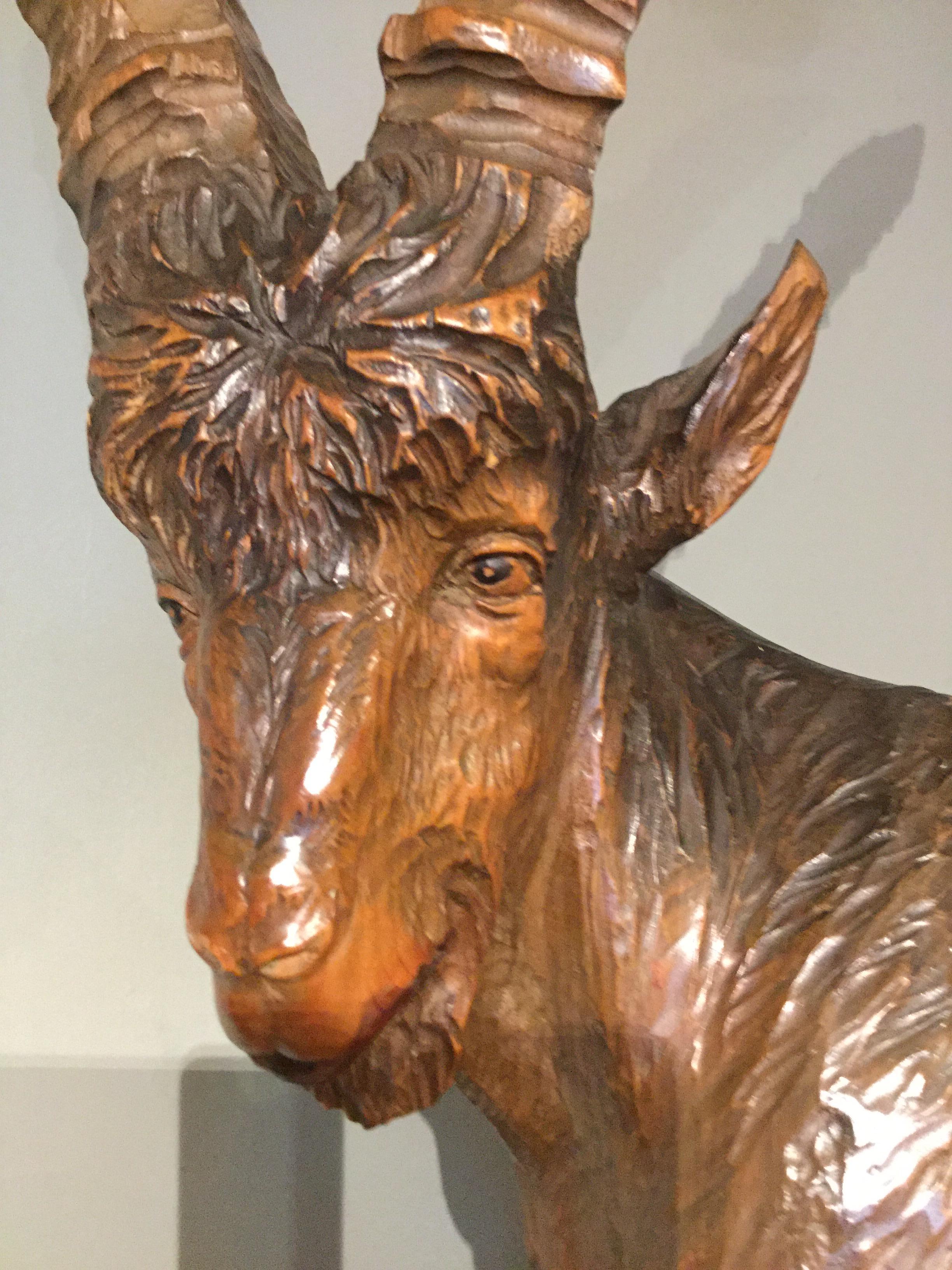 Swiss Impressive 19th Century Black Forest Wood Carving of an Ibex For Sale