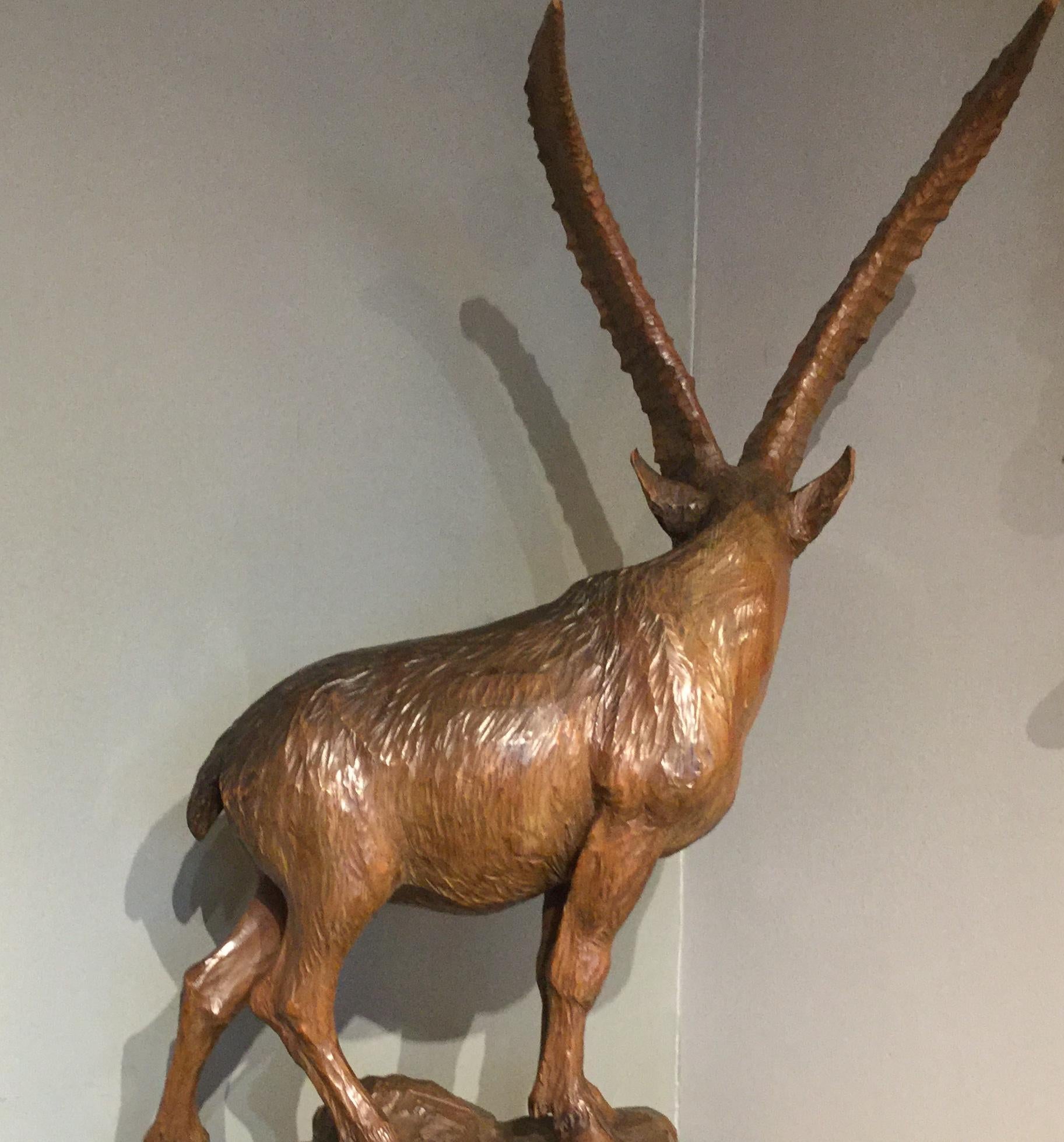 Late 19th Century Impressive 19th Century Black Forest Wood Carving of an Ibex For Sale