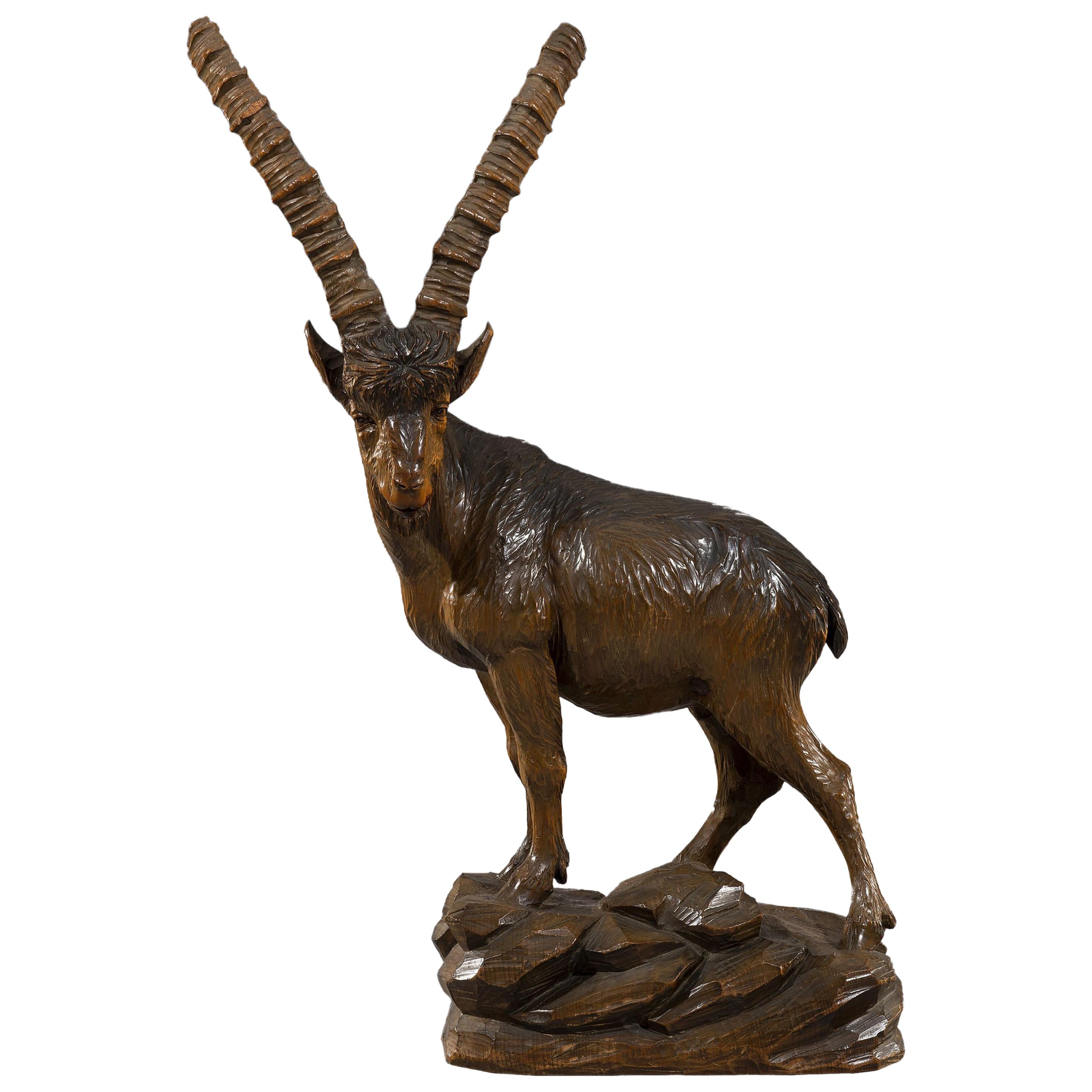 Impressive 19th Century Black Forest Wood Carving of an Ibex For Sale