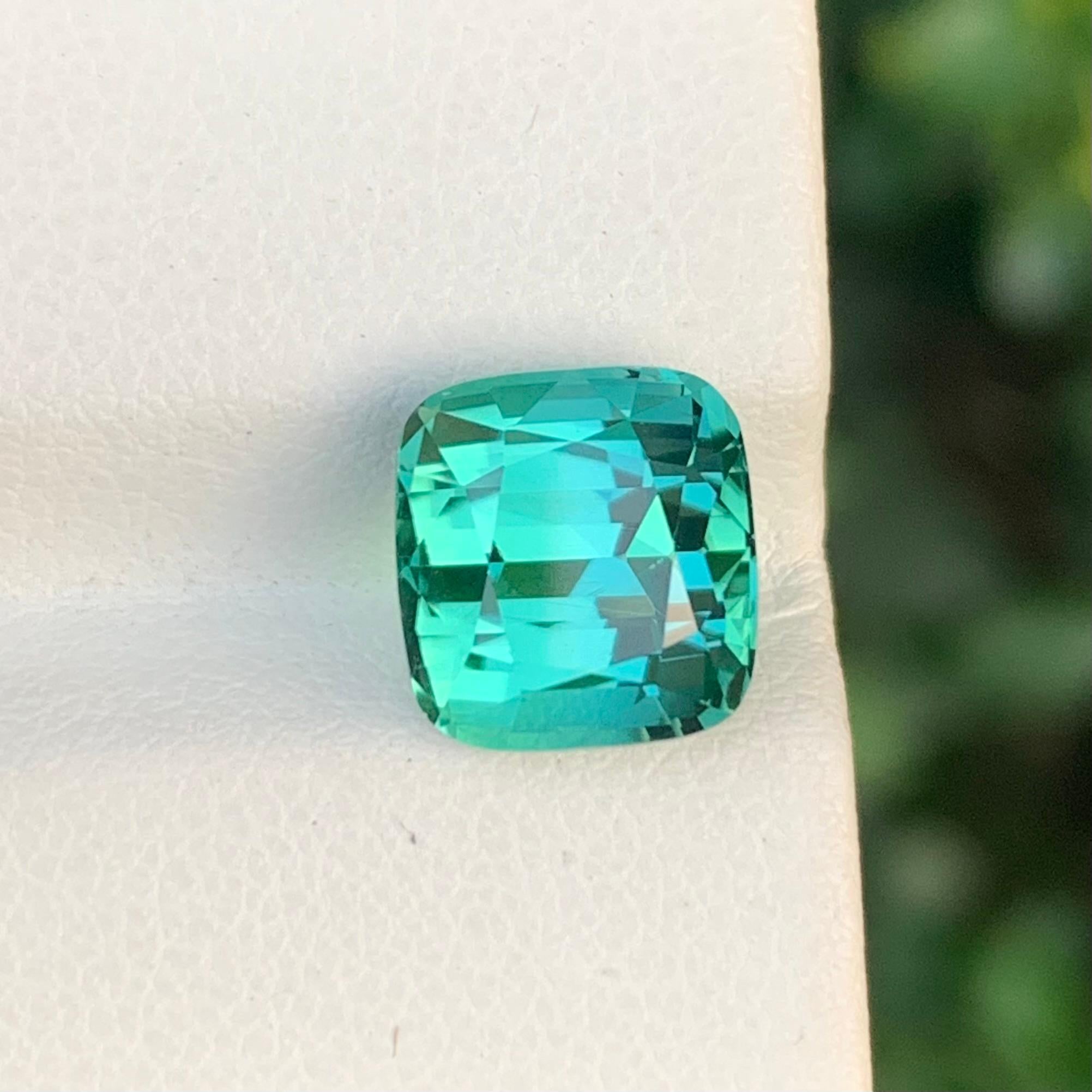 Tourmaline verte bleutée en vrac

Poids : 5,20 carats
Dimension : 9,6 x 9 x 7,8 mm
Couleur : Vert bleuté 
Origine : Afghanistan
Certificat : Sur demande
Traitement : Non
Forme : Coussin 


La tourmaline est une pierre précieuse captivante connue