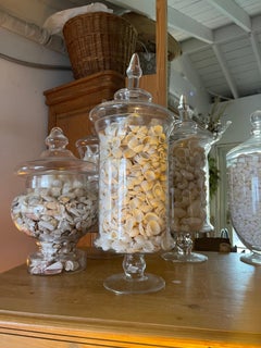 Reduced- Impressive Large Sea Shell Glass Jars Collection