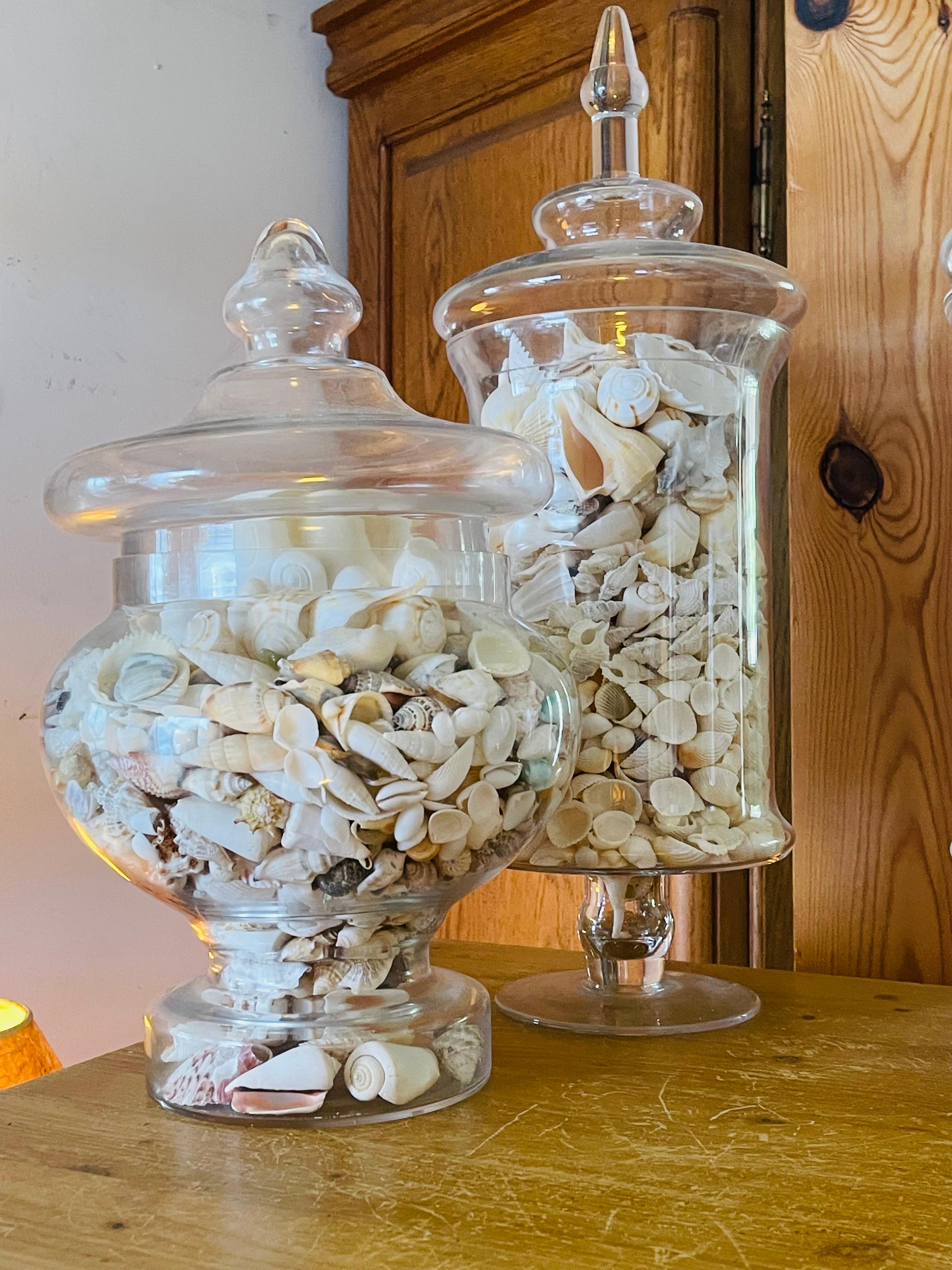 Reduced- Impressive Large Sea Shell Glass Jars Collection For Sale at ...