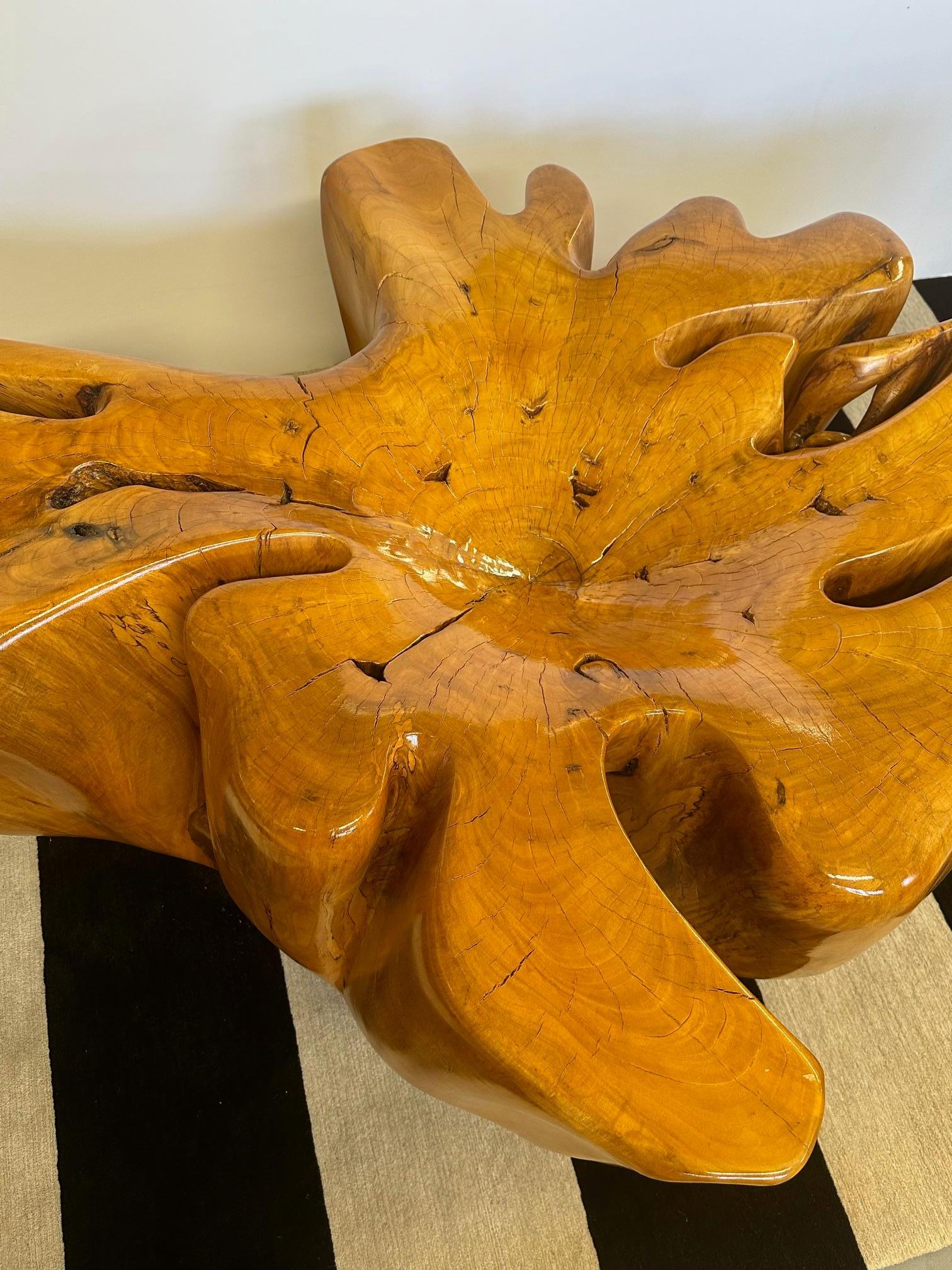 Burl Impressive Amoeba Shaped Organic Modern Tree Stump Coffee Table For Sale