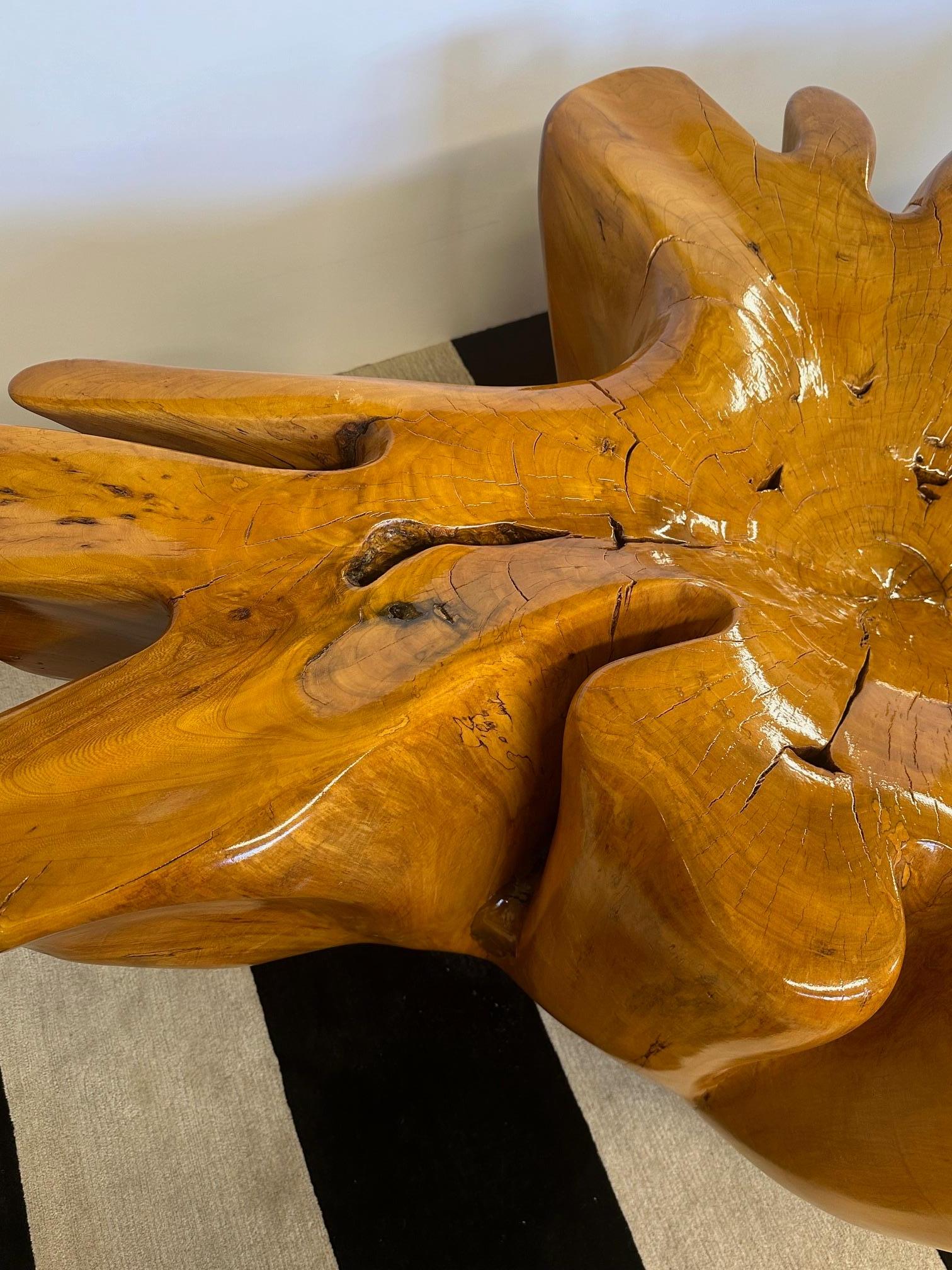Impressive Amoeba Shaped Organic Modern Tree Stump Coffee Table For Sale 2