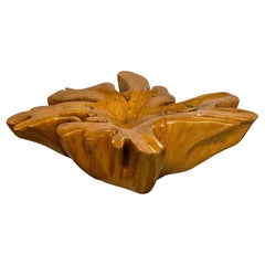 Impressive Amoeba Shaped Organic Modern Tree Stump Coffee Table