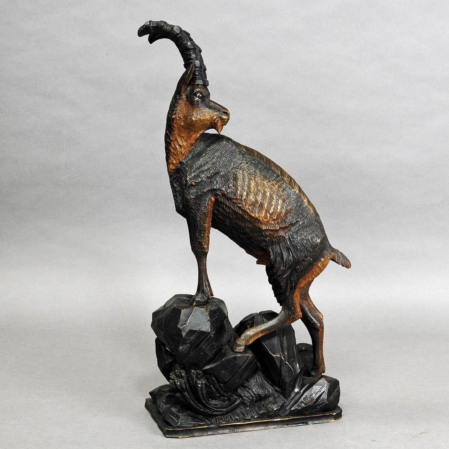 An antique imposing cabin decor wood carving sculpture of an ibex. Black forest or Austria, circa 1900.

Measures: Width 11.81