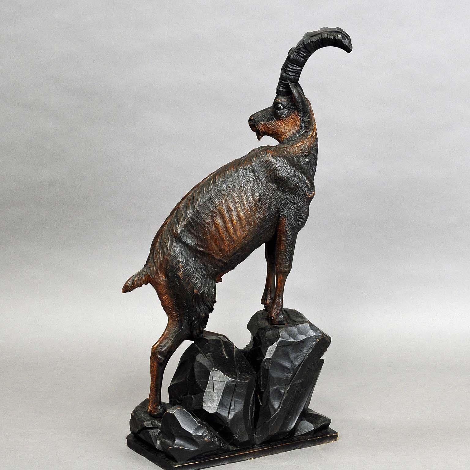 Swiss Impressive Black Forest Woodcarving Ibex Sculpture