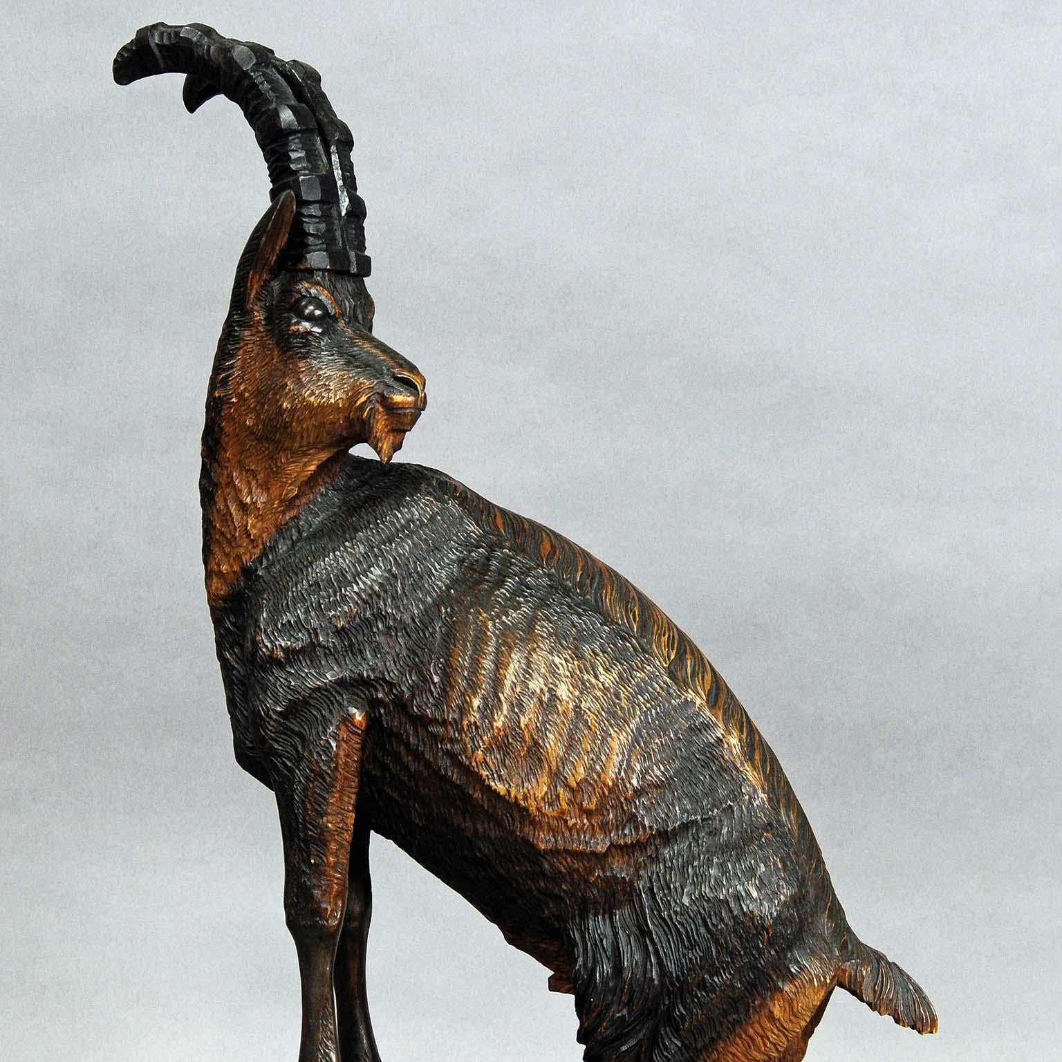 Carved Impressive Black Forest Woodcarving Ibex Sculpture