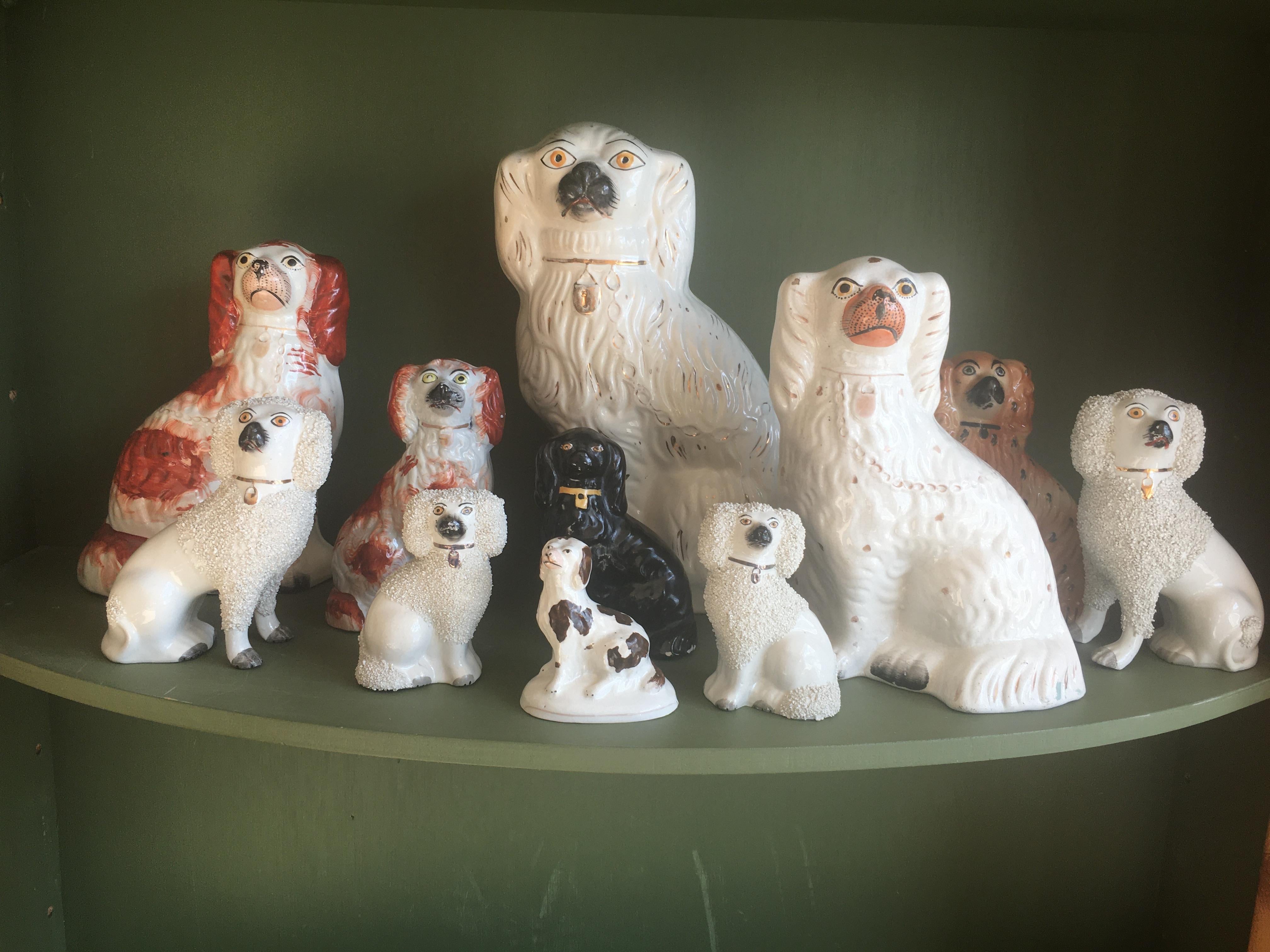 Impressionnante Collection de chiens Staffordshire anglais du 19e siècle. Collectional comprenant quelques exemplaires rares. Onze au total. Remarque : la mesure est celle du plus grand.