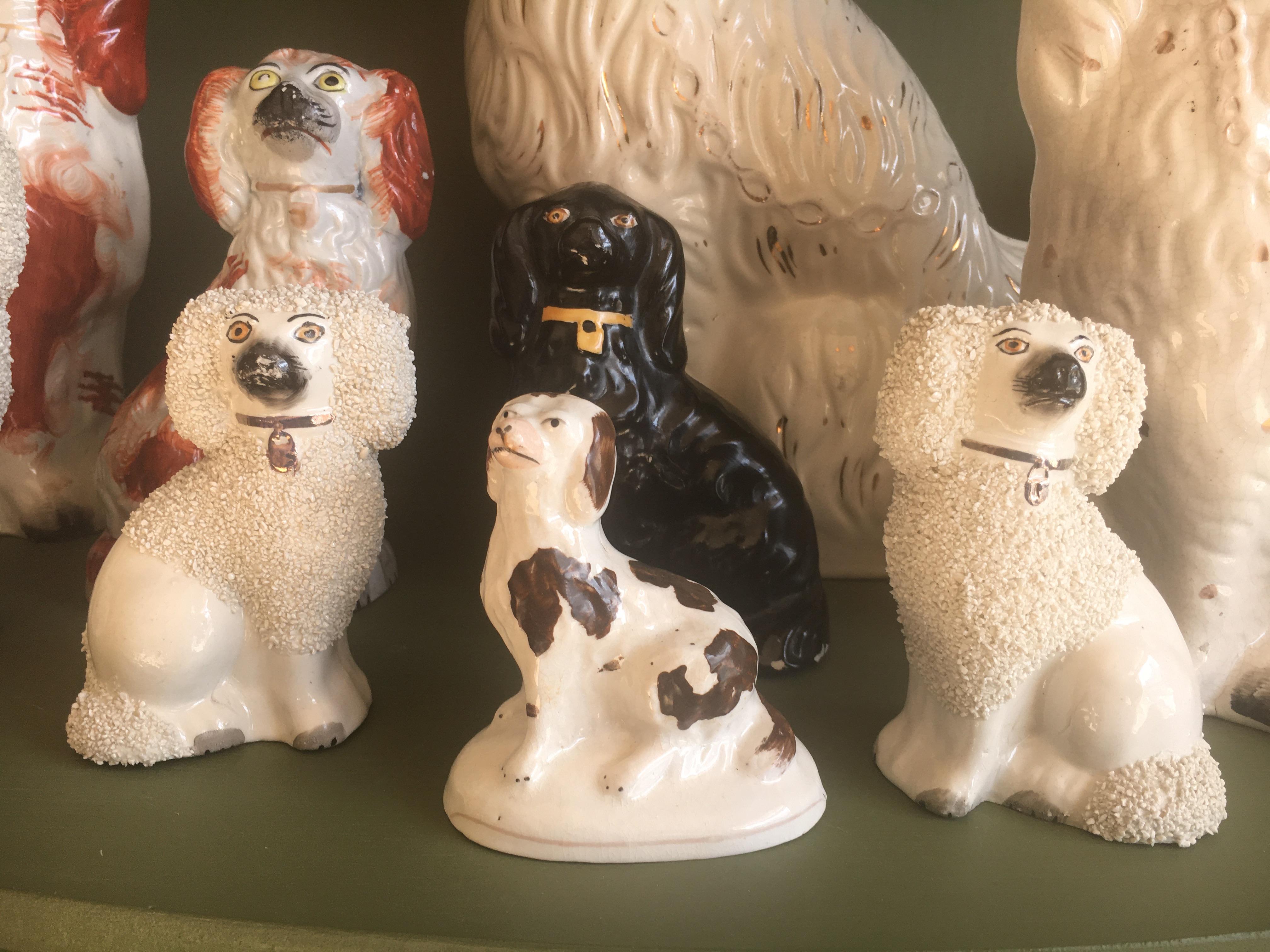Beeindruckende Sammlung englischer Staffordshire-Hunde aus dem 19. Jahrhundert (Englisch) im Angebot