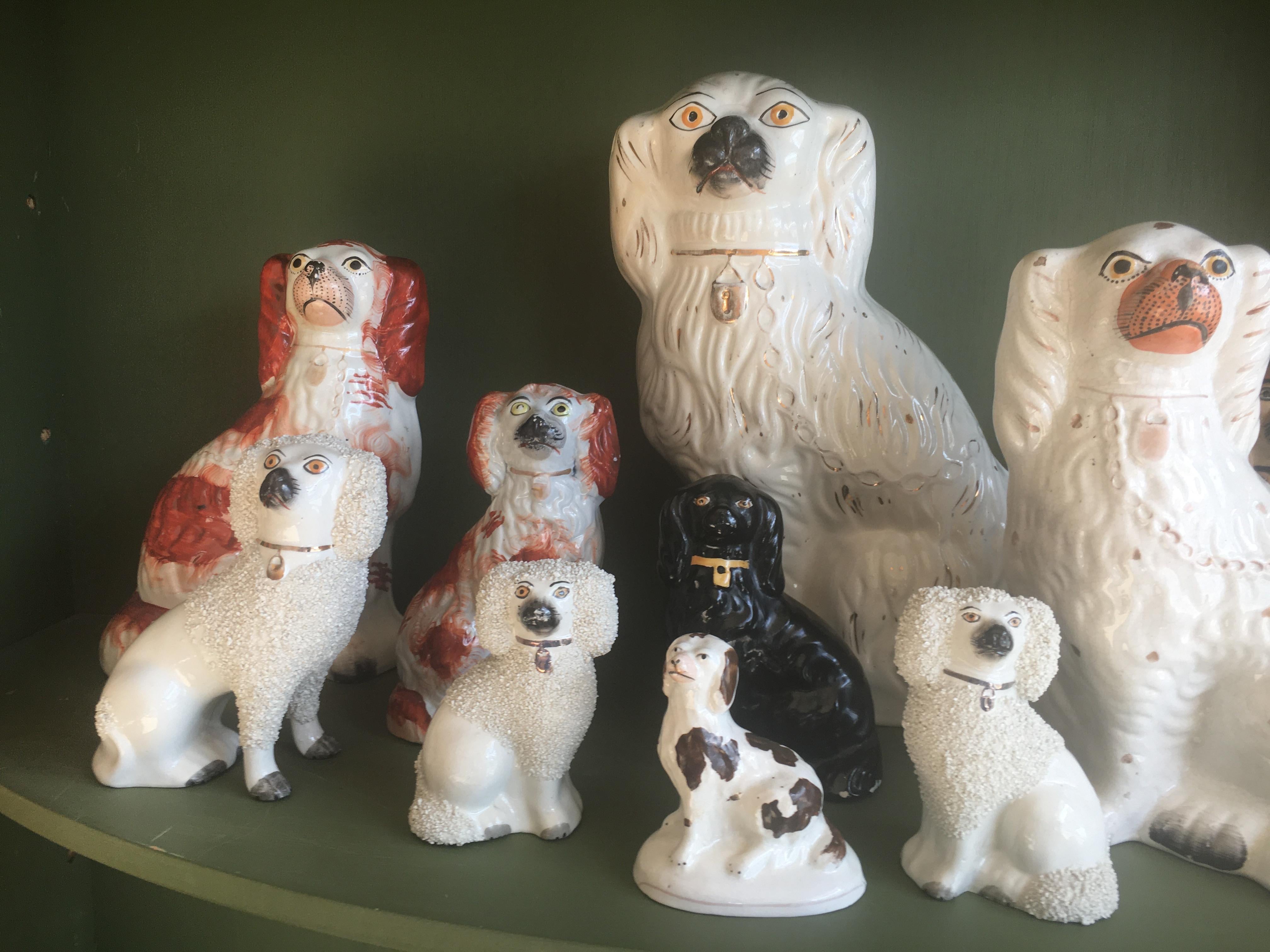 Beeindruckende Sammlung englischer Staffordshire-Hunde aus dem 19. Jahrhundert (Porzellan) im Angebot