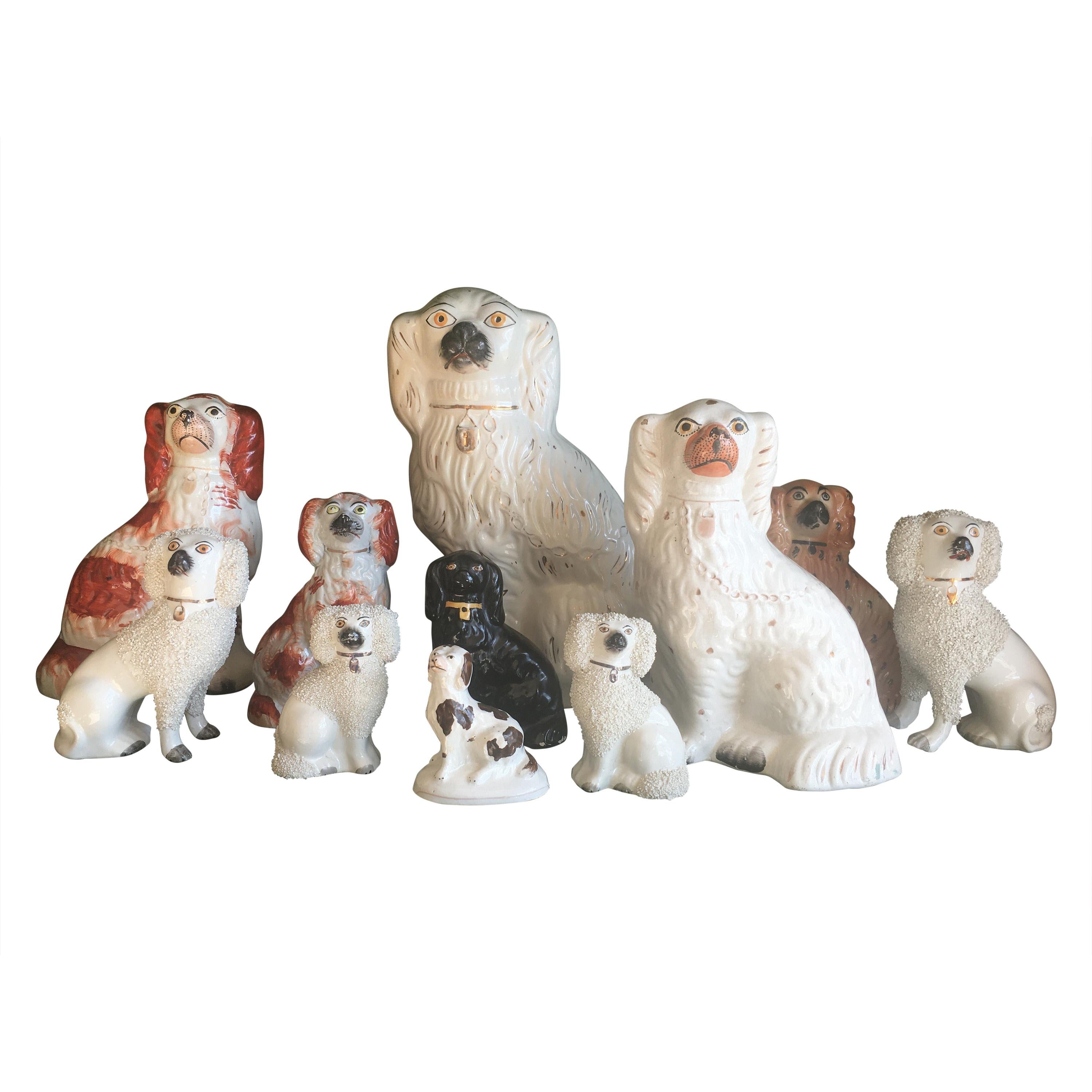Impressive Collection of 19th Century English Staffordshire Dogs