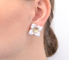 NALLY Impressive Color Diamond Earrings
