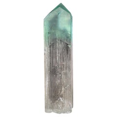 Impressionnant cristal de kunzite bicolore à double terminaison provenant d'Afghanistan