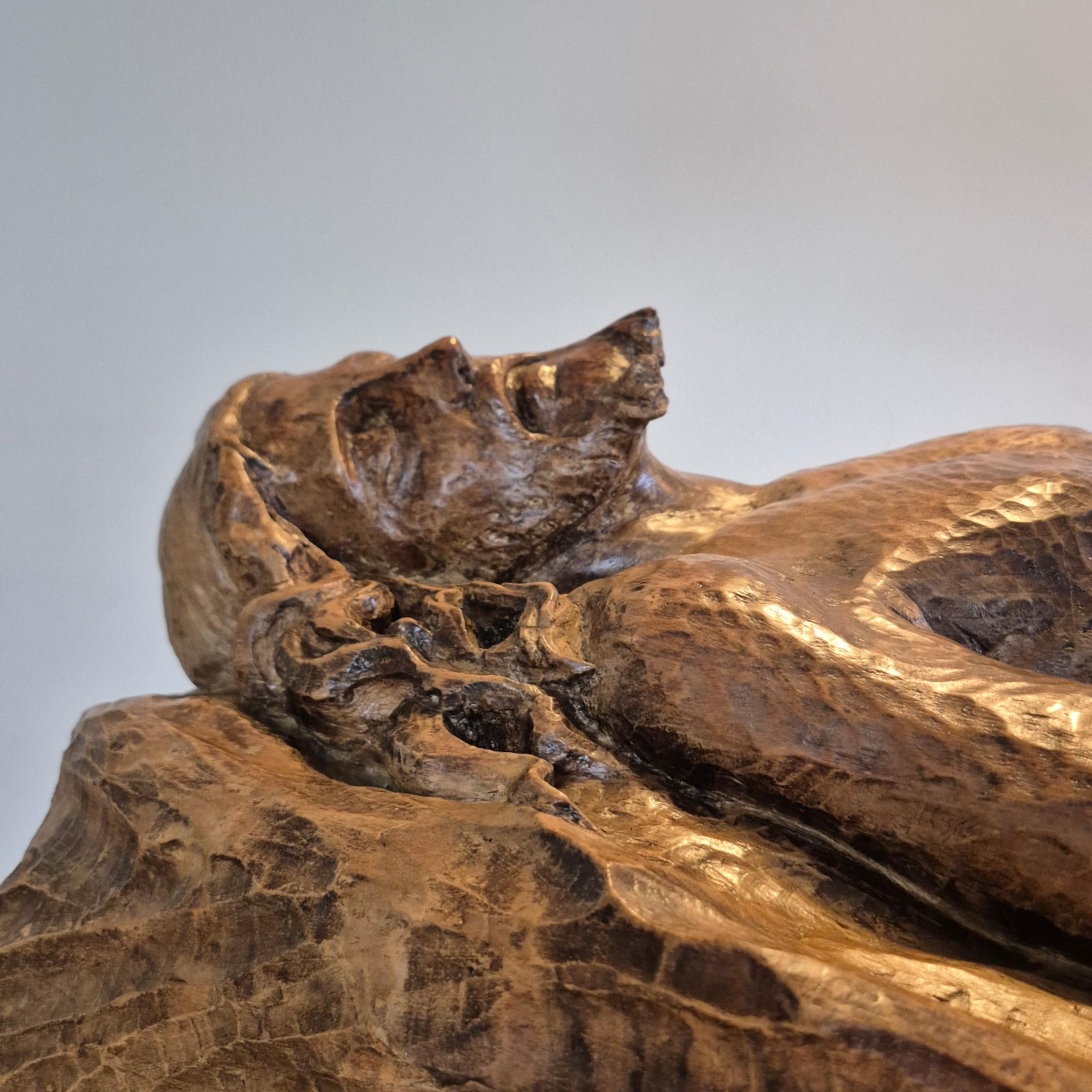 Impressionnante statue du Christ sculptée à la main, Pays-Bas 1900th en vente 2