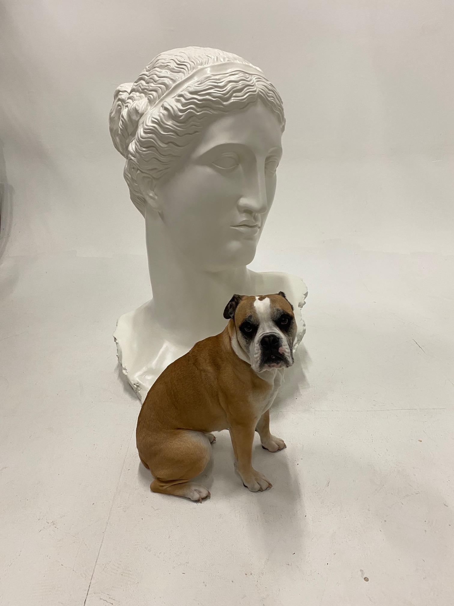 Impressive in scale monumental bust of Diana made of fiberglass, recently refreshed with white paint.