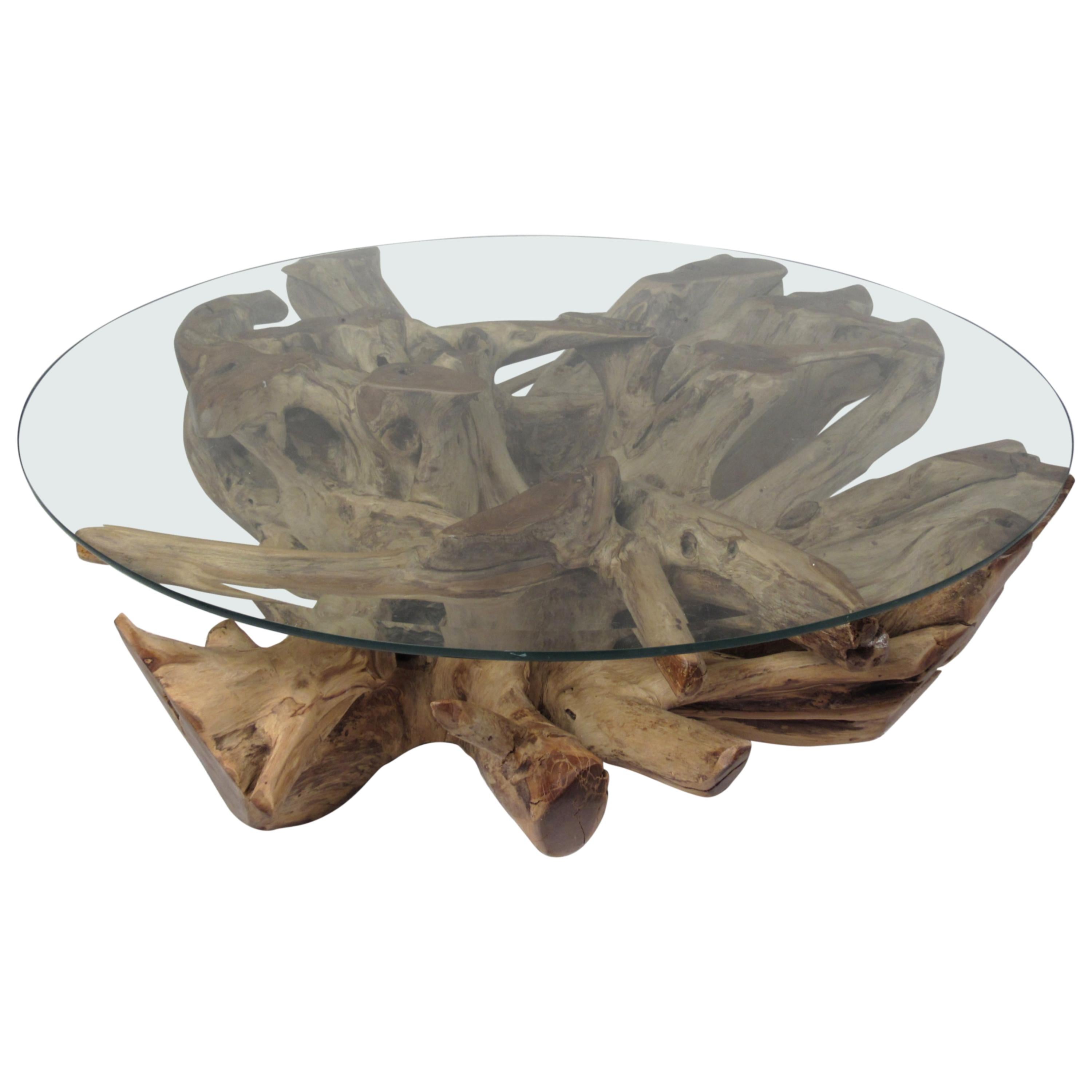 Impressive Mid-Century Modern Tree Root Coffee Table For Sale