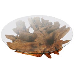 Impressive Midcentury Organic Modern Tree Root and Glass Round Cocktail Table
