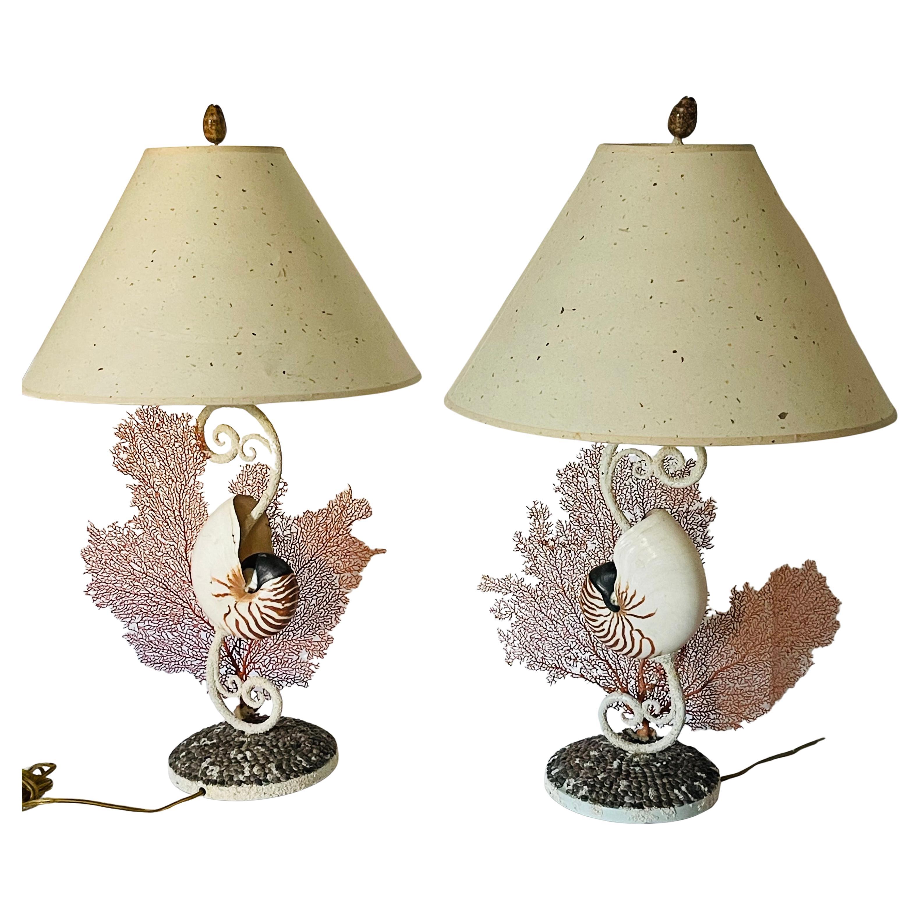 Impressive Pair Nautilus Sea Shell with Red Fan Lamps