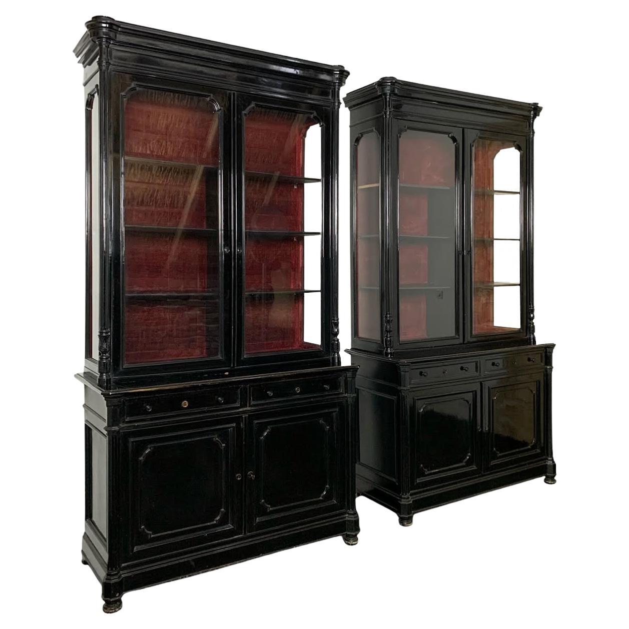 Impressive Pair of 19th Century Ebonised Cabinets or Bookcases