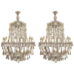 Vintage Impressive Pair of Large Nineteen-Light Louis XV Style Crystal Chandeliers