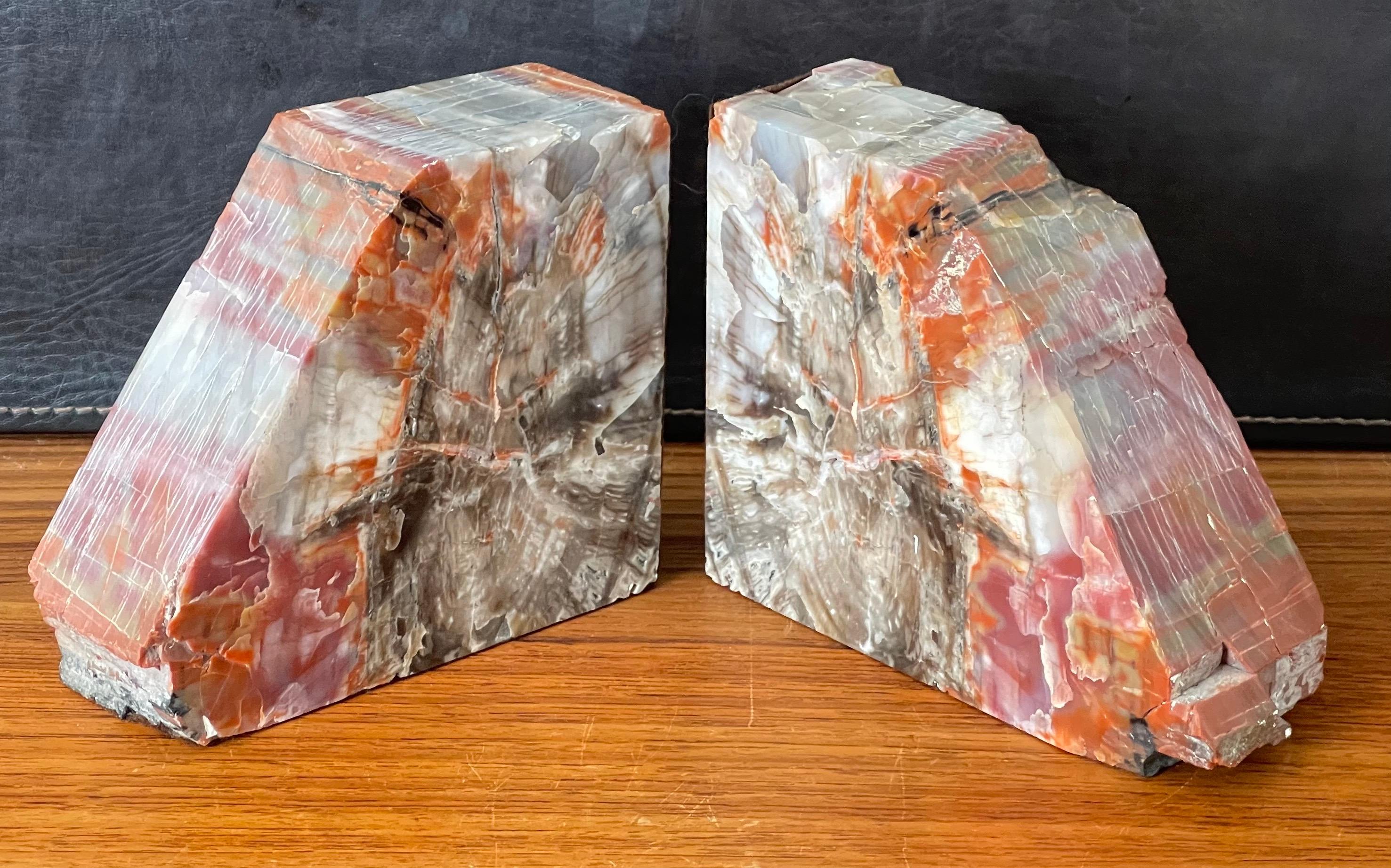 Impressive Pair of Large Petrified Wood Bookends For Sale 5