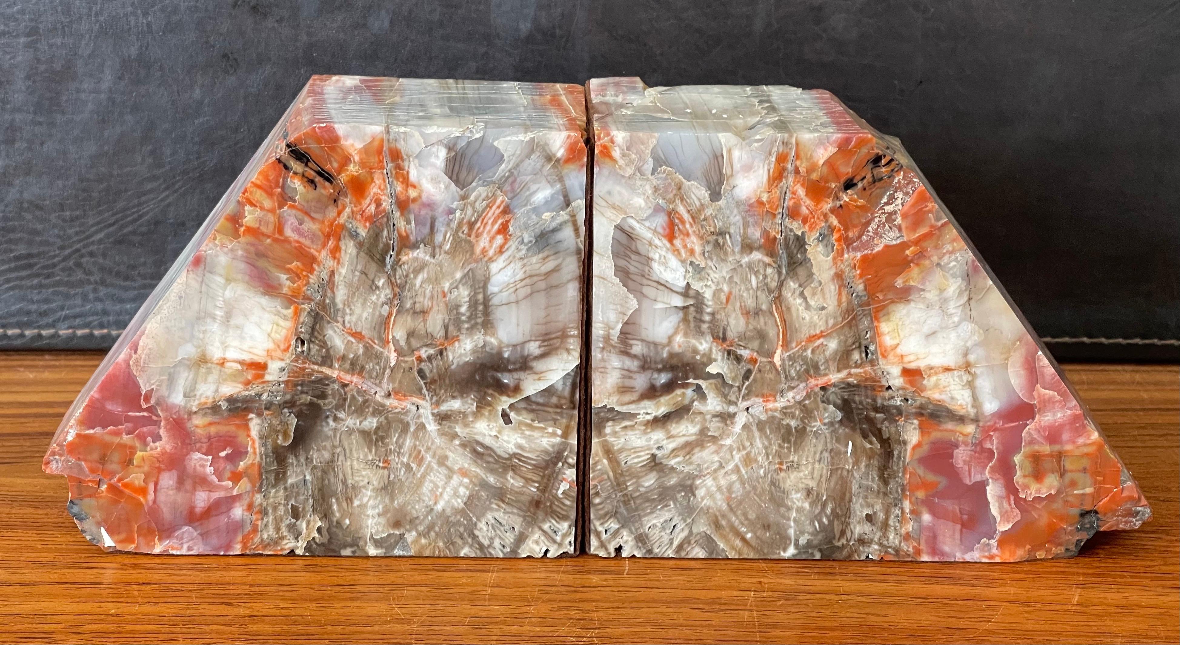 Unknown Impressive Pair of Large Petrified Wood Bookends For Sale