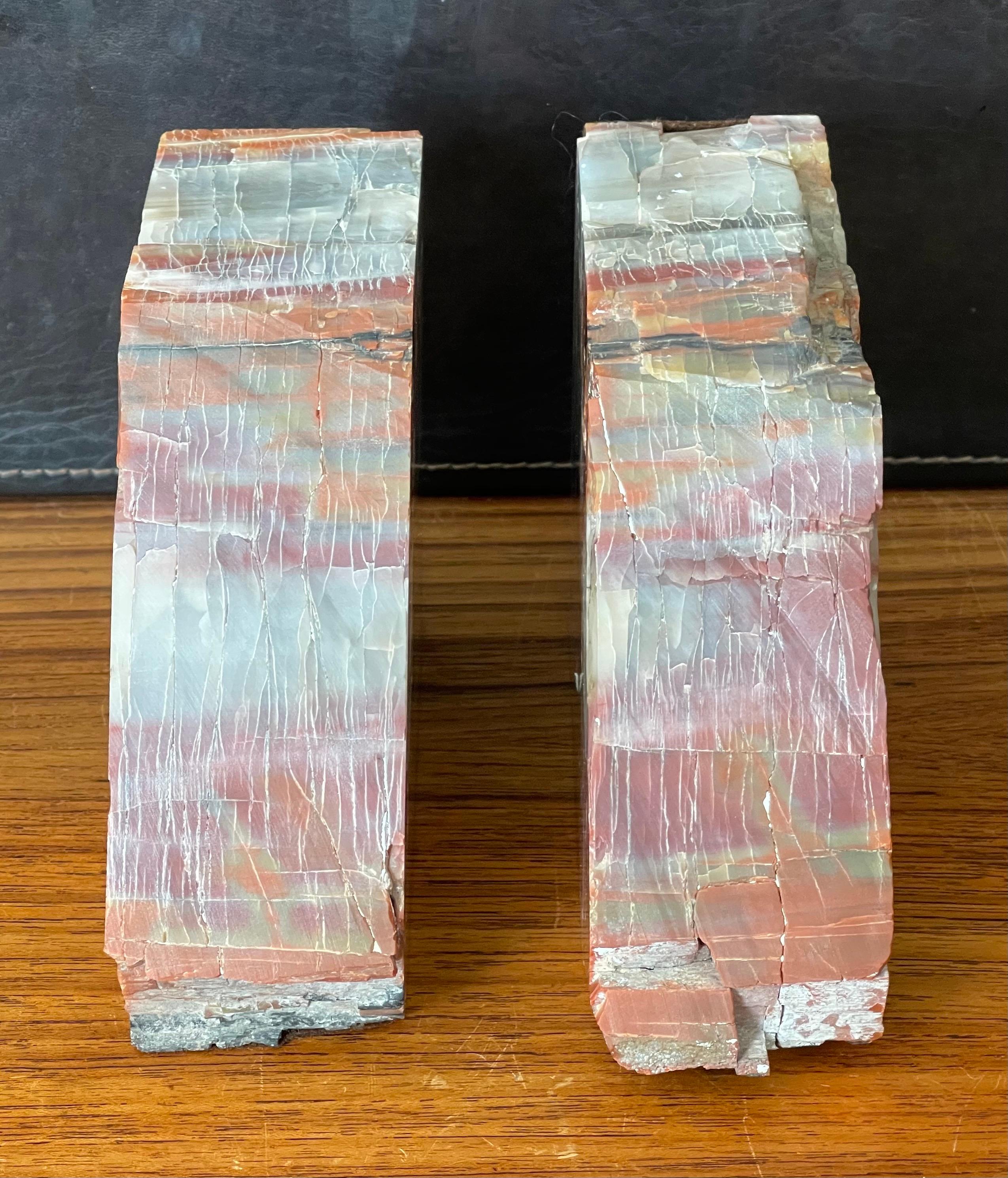 Impressive Pair of Large Petrified Wood Bookends For Sale 2