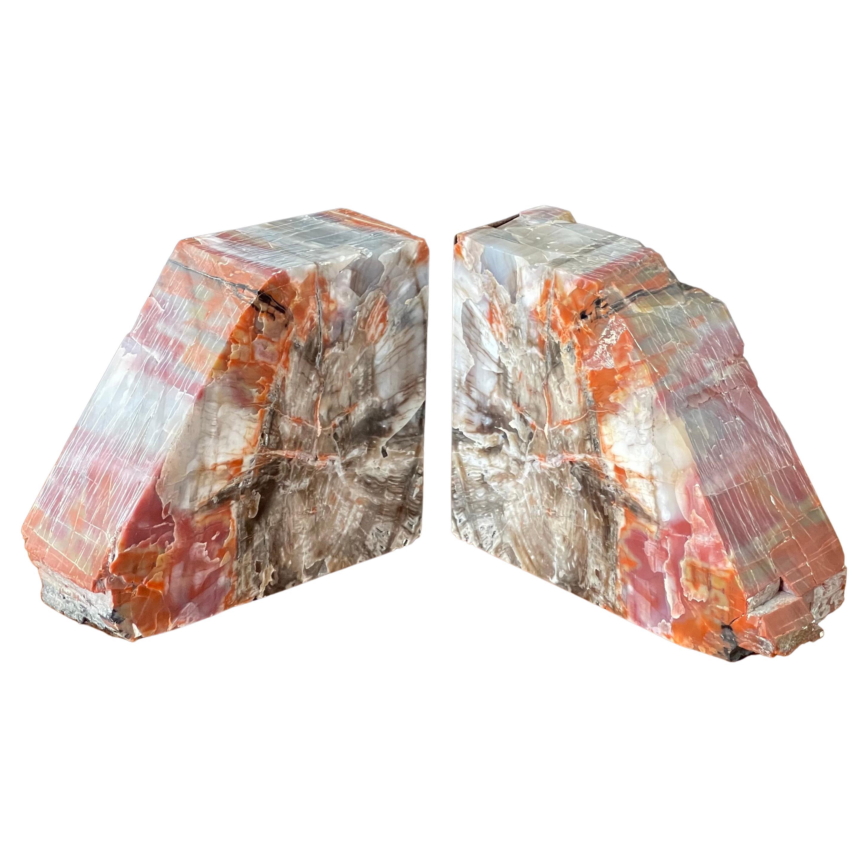 Impressive Pair of Large Petrified Wood Bookends For Sale