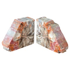 Antique Impressive Pair of Large Petrified Wood Bookends