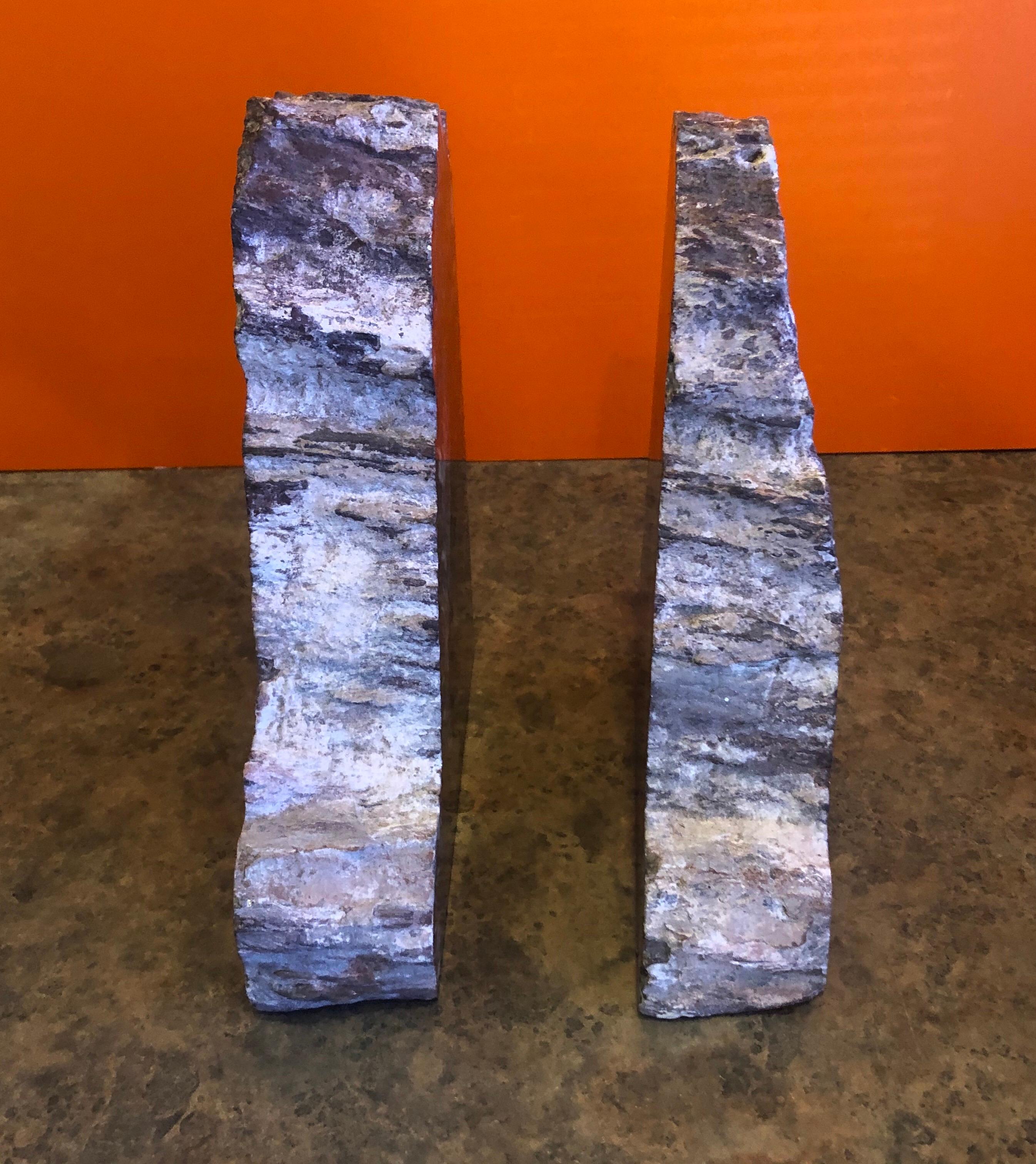 Unknown Impressive Pair of Petrified Wood Bookends For Sale