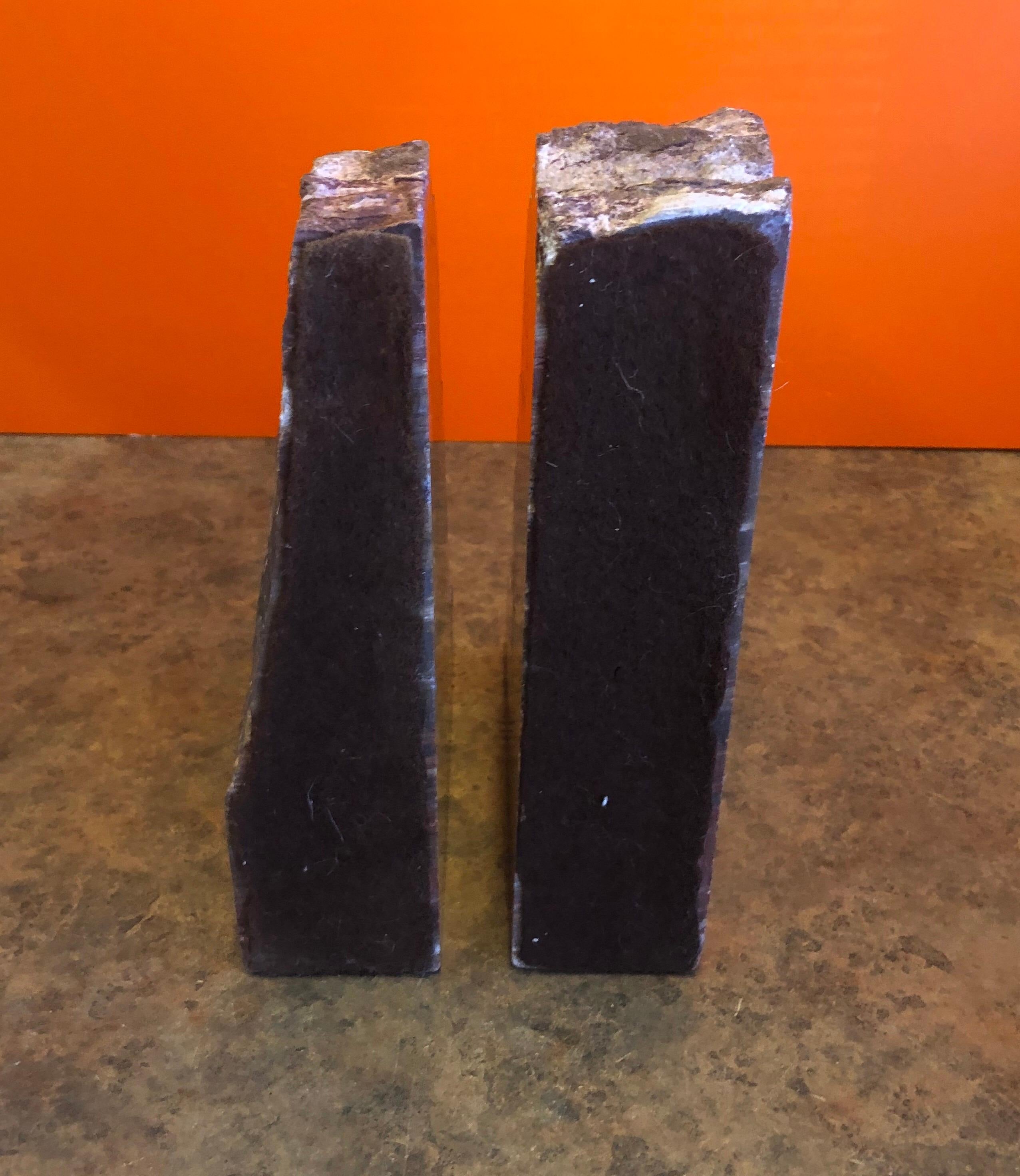 18th Century and Earlier Impressive Pair of Petrified Wood Bookends For Sale