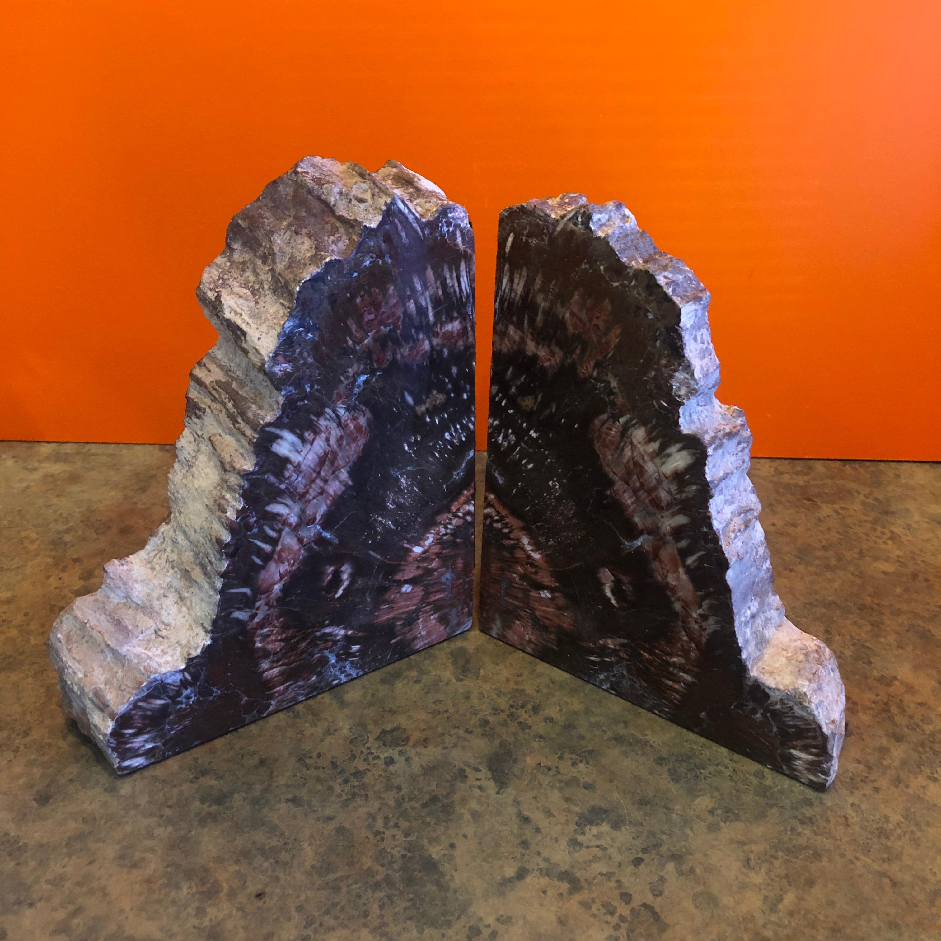 Impressive Pair of Petrified Wood Bookends For Sale 1