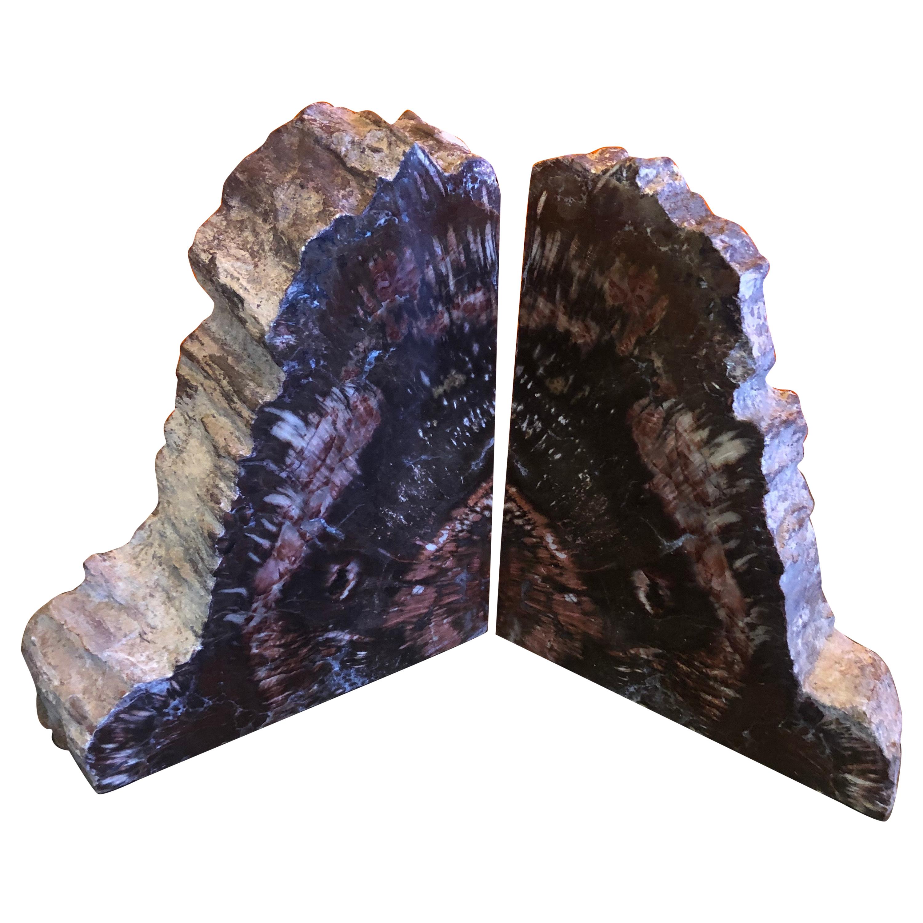Impressive Pair of Petrified Wood Bookends For Sale