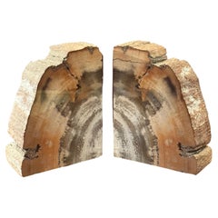 Impressive Pair of Petrified Wood Bookends