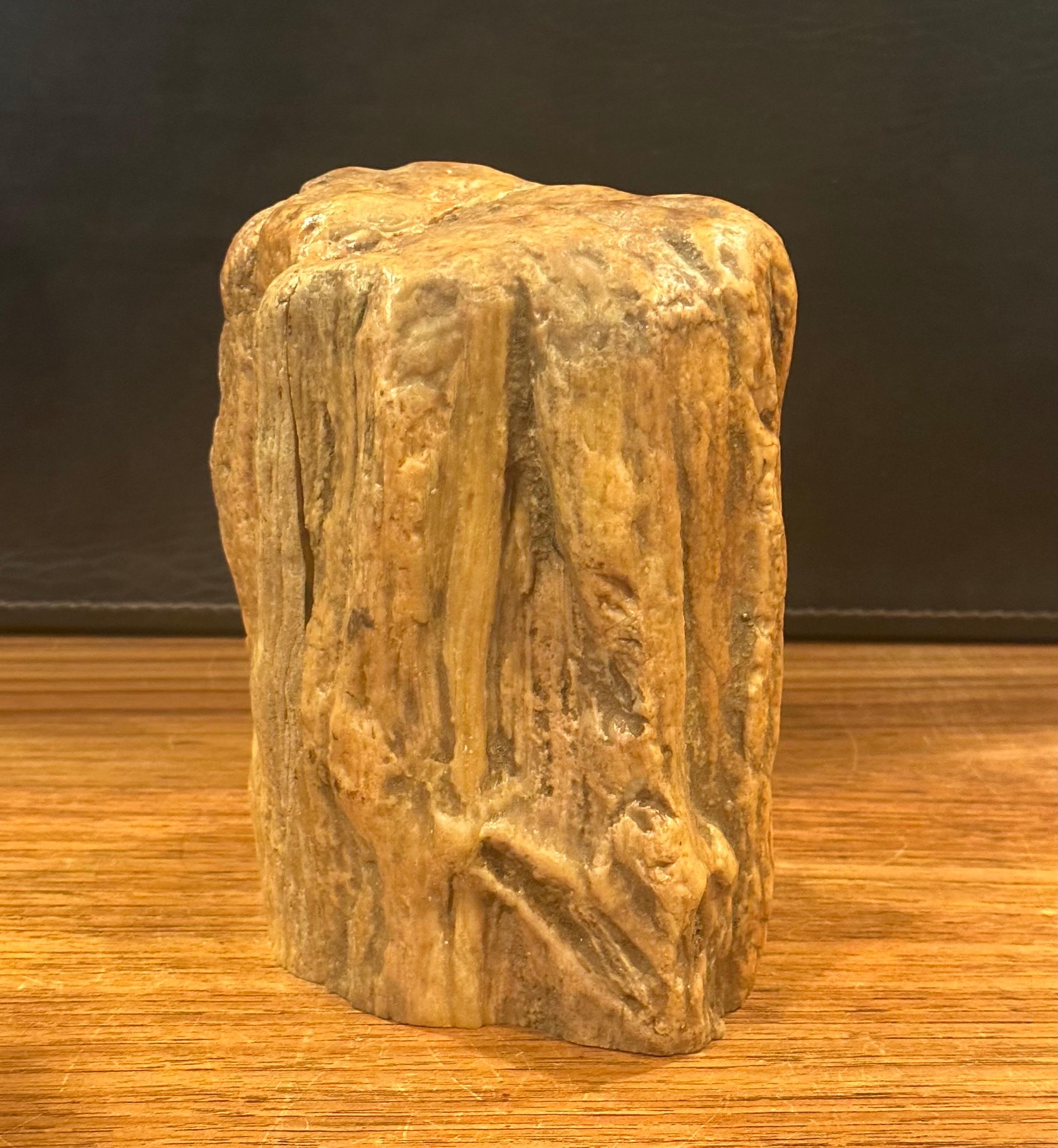 Impressive Pair of Raw Petrified Wood Bookends For Sale 4