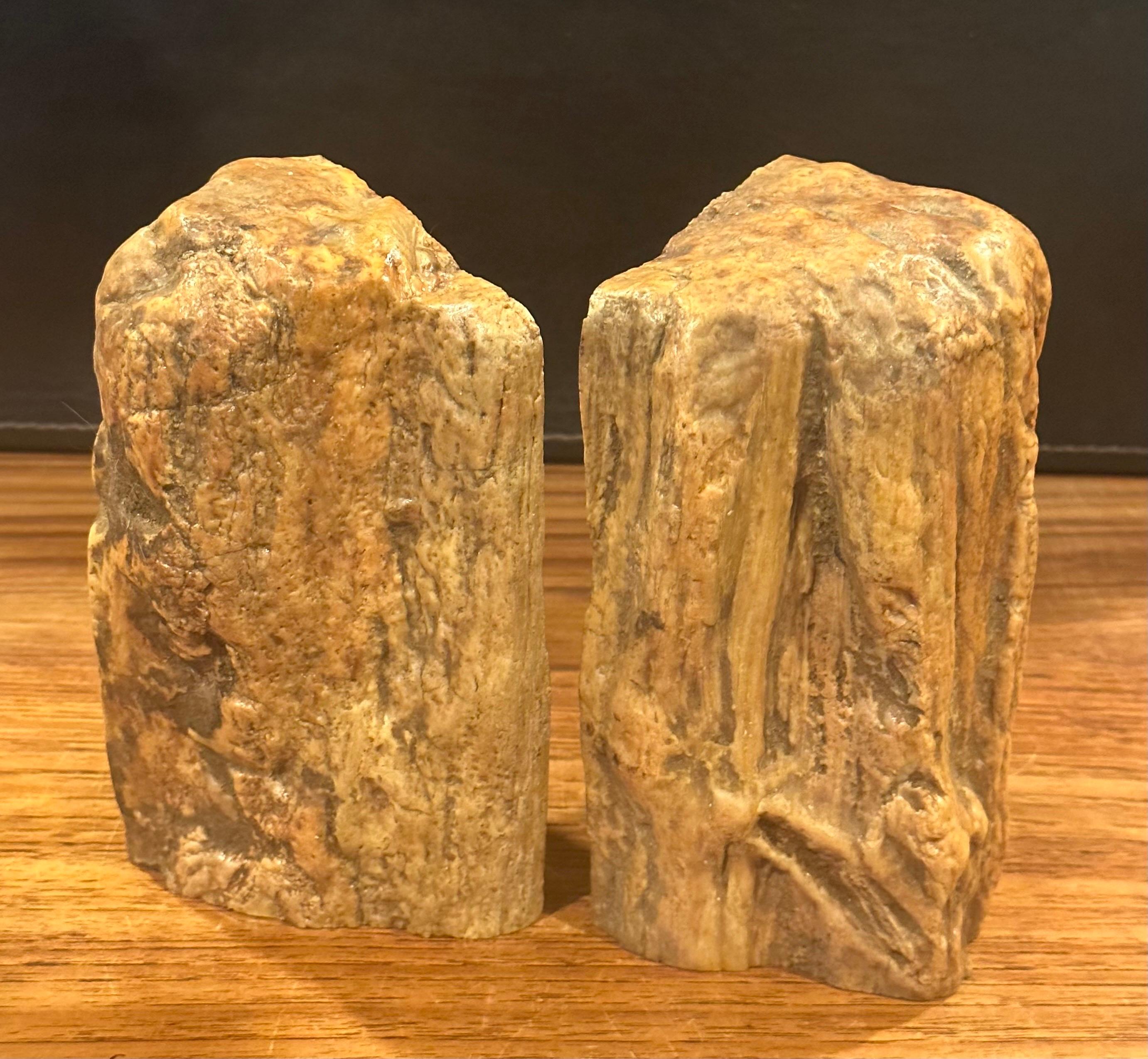 Impressive Pair of Raw Petrified Wood Bookends For Sale 5
