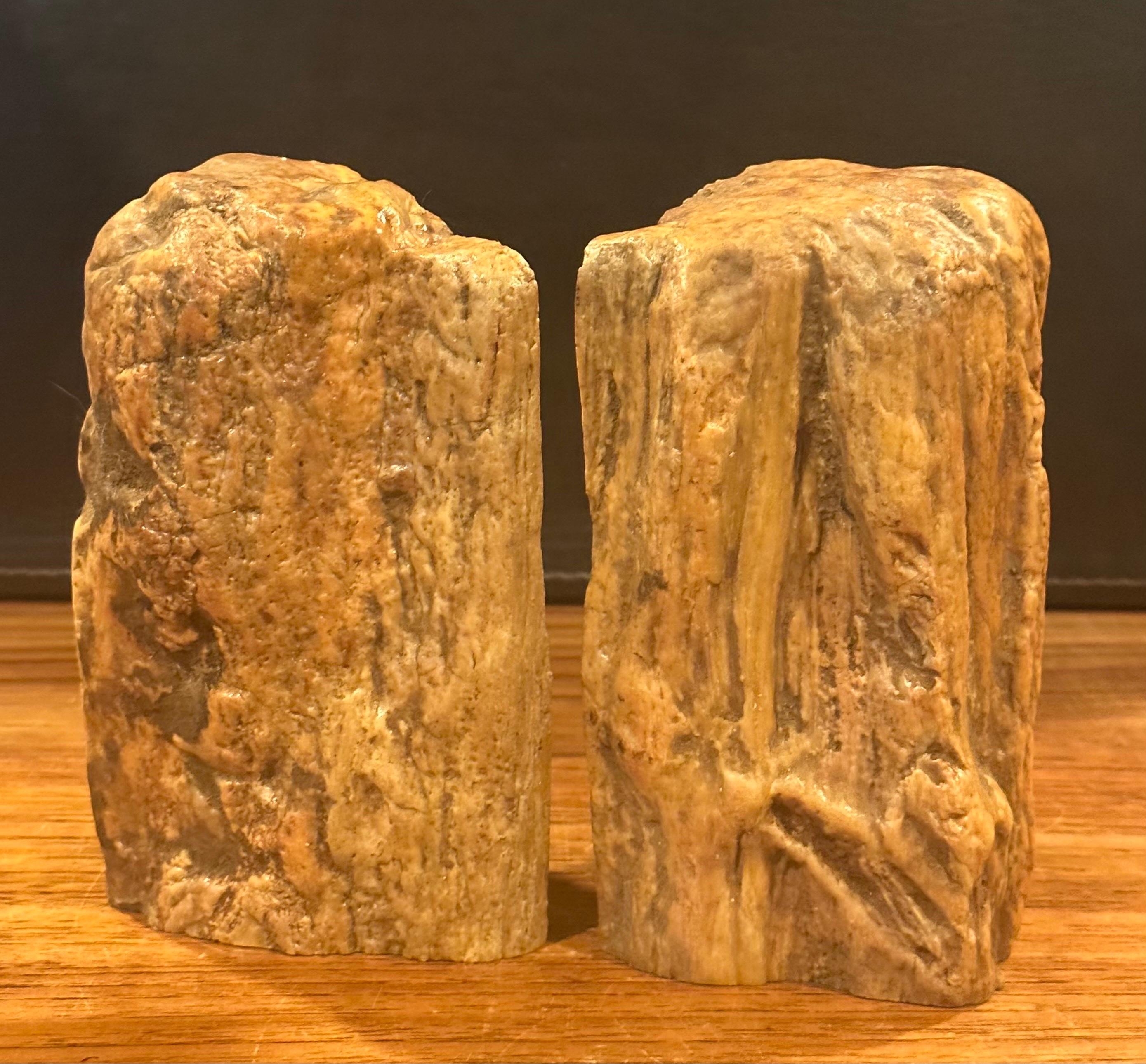 Impressive Pair of Raw Petrified Wood Bookends For Sale 6