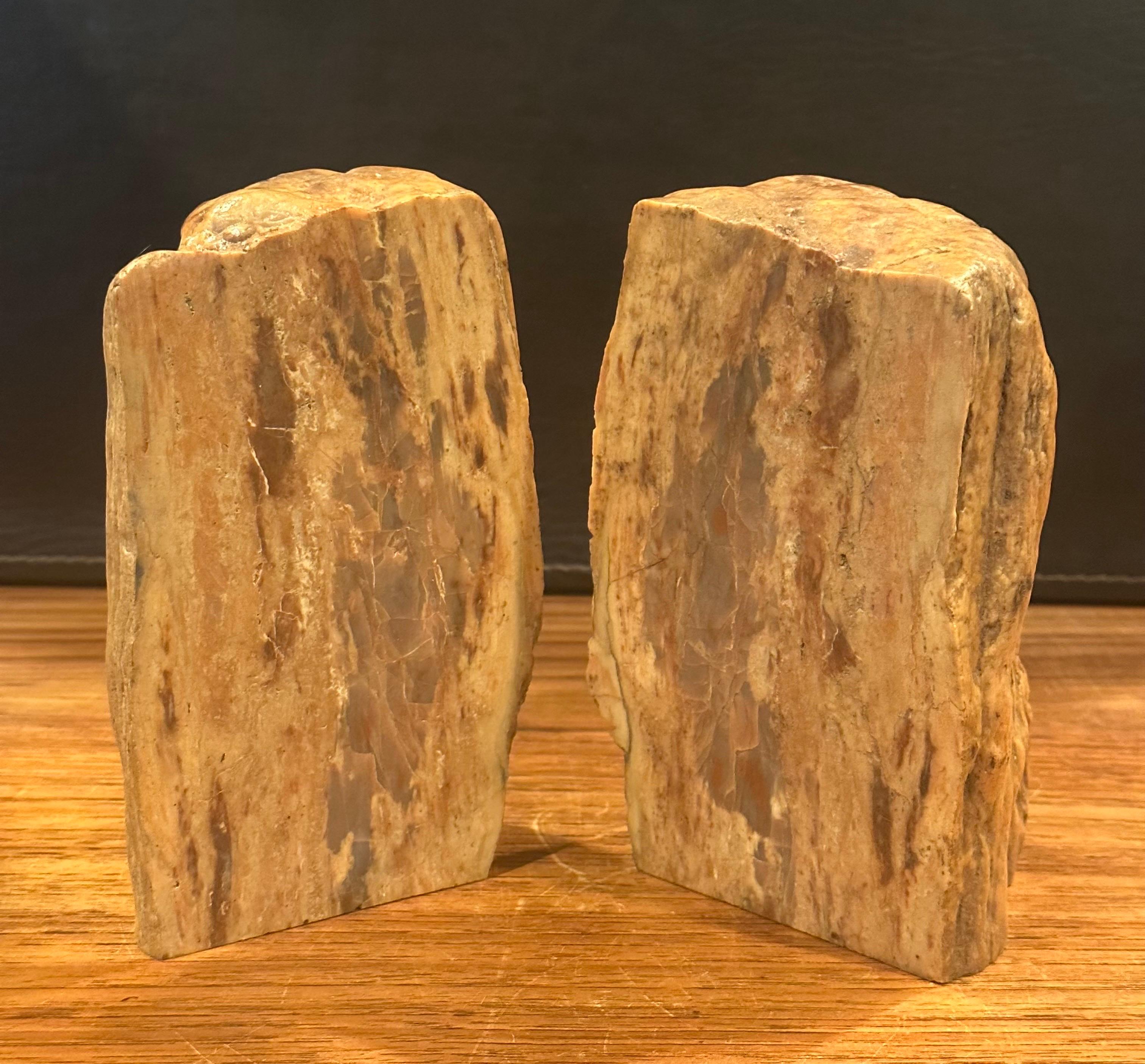 Impressive Pair of Raw Petrified Wood Bookends For Sale 7