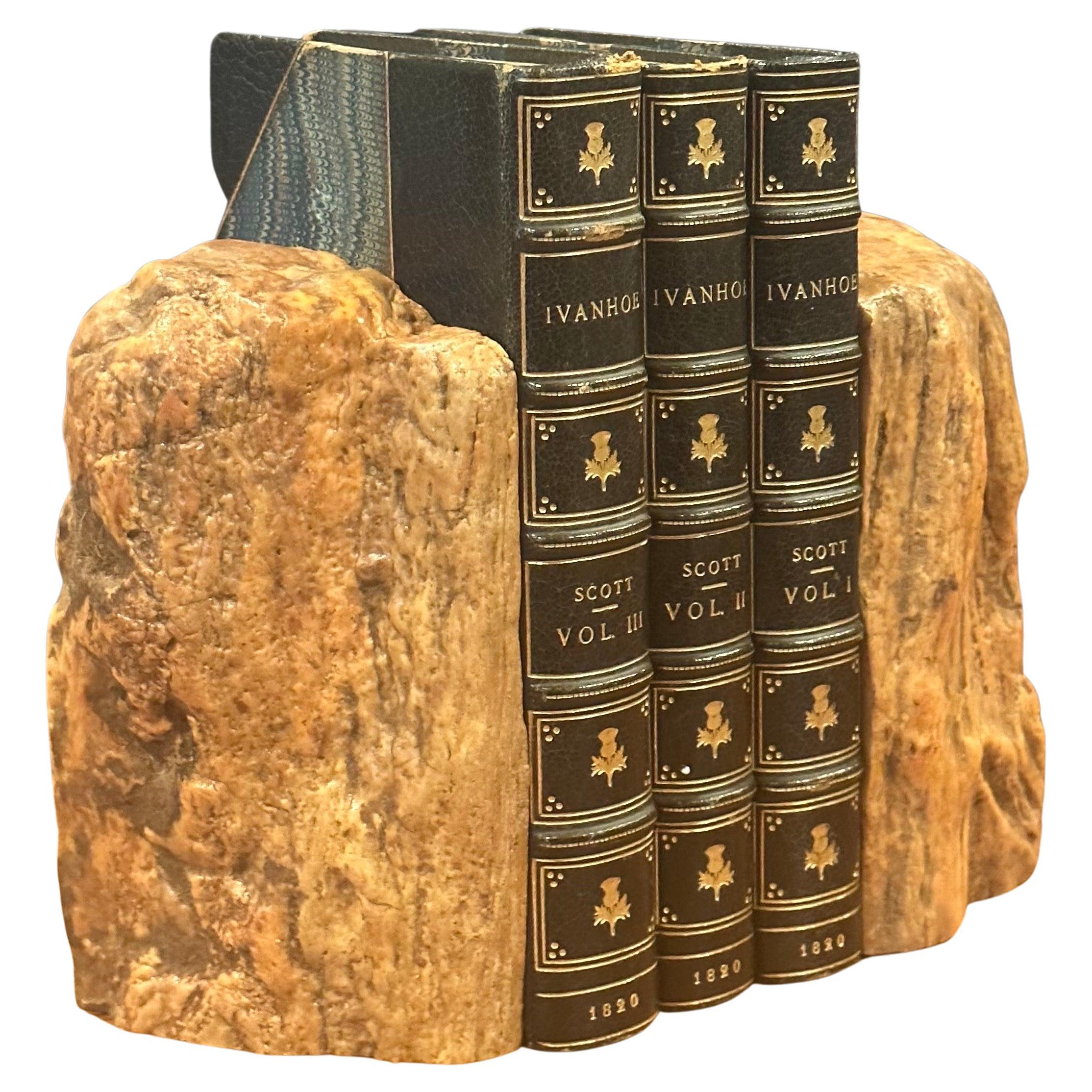 Impressive Pair of Raw Petrified Wood Bookends For Sale 8