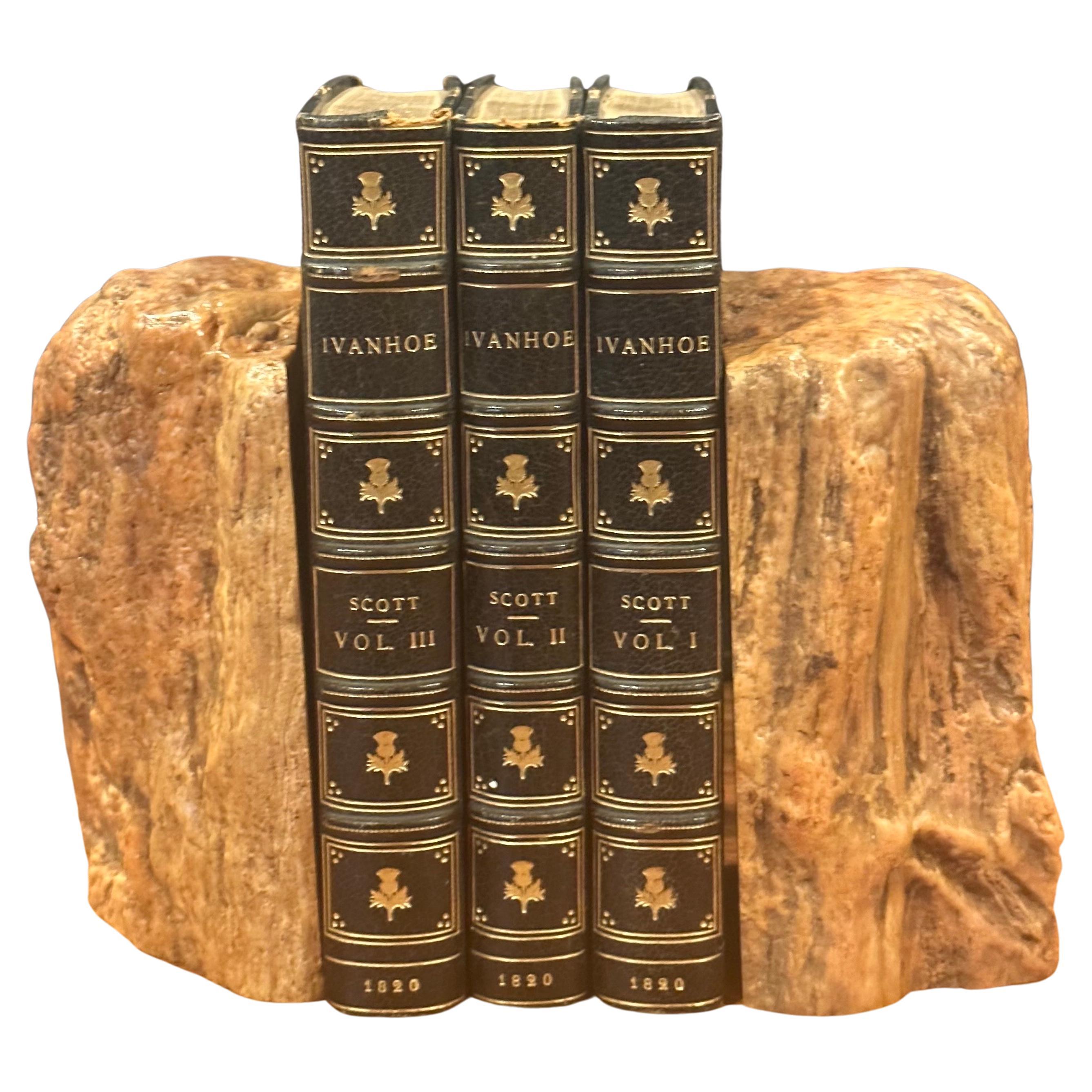 An impressive pair of petrified wood bookends, circa pre-history.  The bookends were formed by fossilization over millions of years and are finished with the exterior edges retaining raw, organic texture.  The set is in very good condition with no