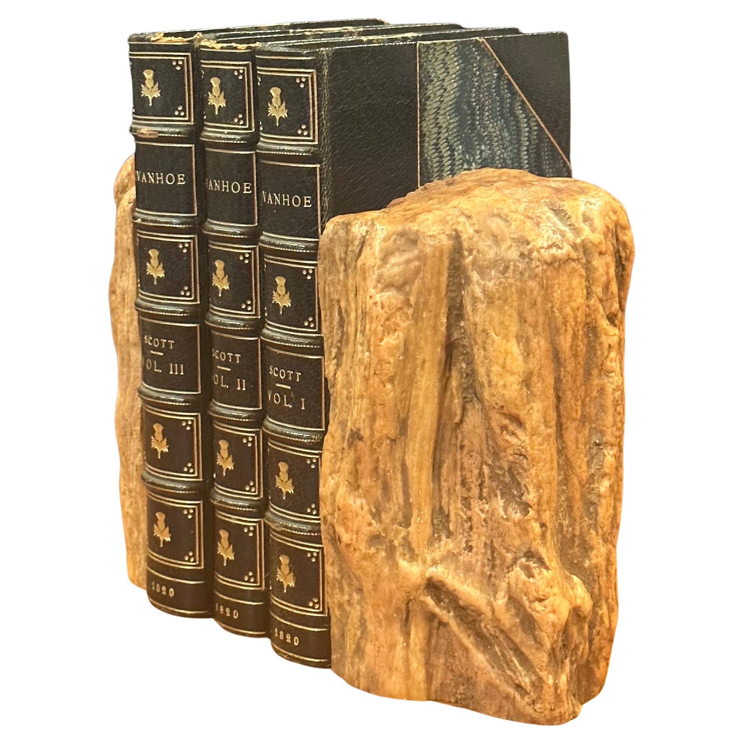 Organic Modern Impressive Pair of Raw Petrified Wood Bookends For Sale